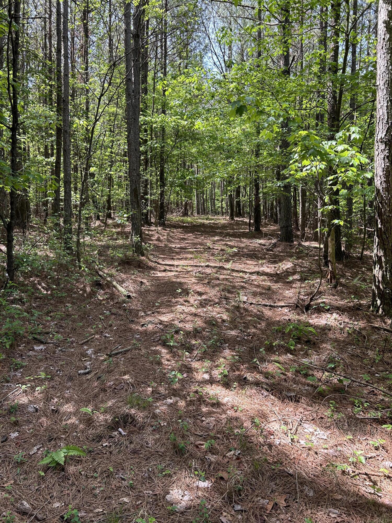 290 Bear Trace Drive, Rb-201
