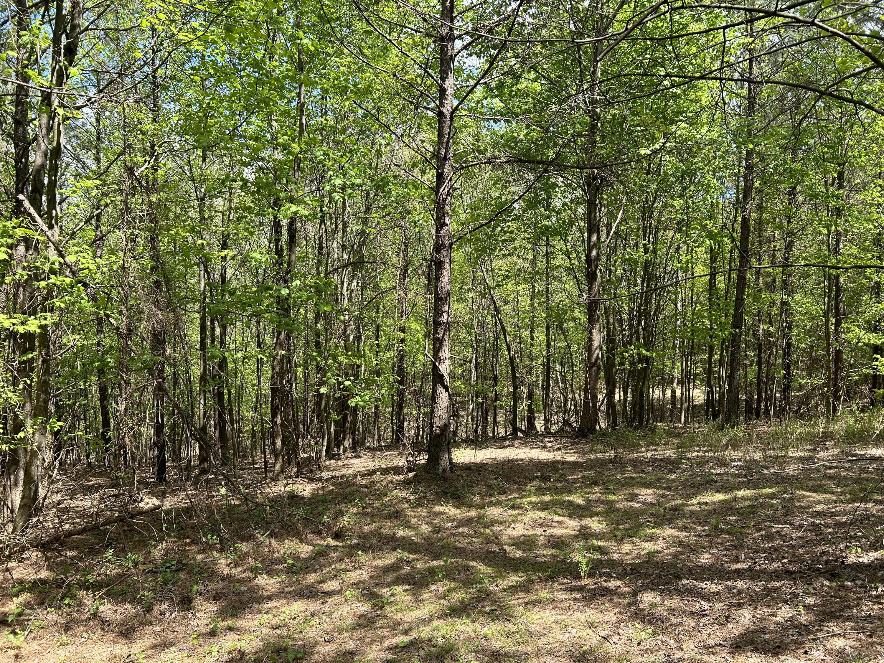 290 Bear Trace Drive, Rb-201