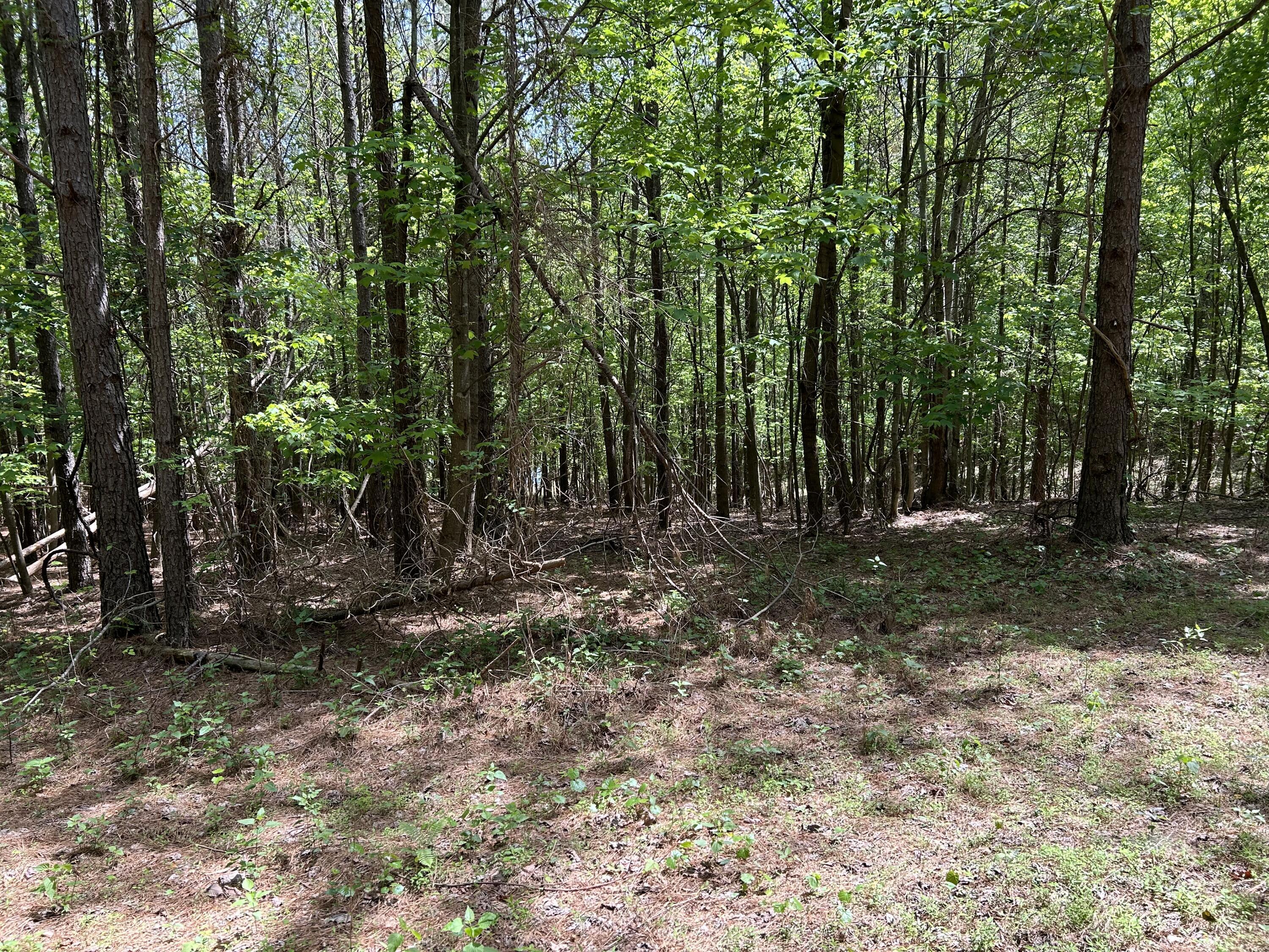 290 Bear Trace Drive, Rb-201