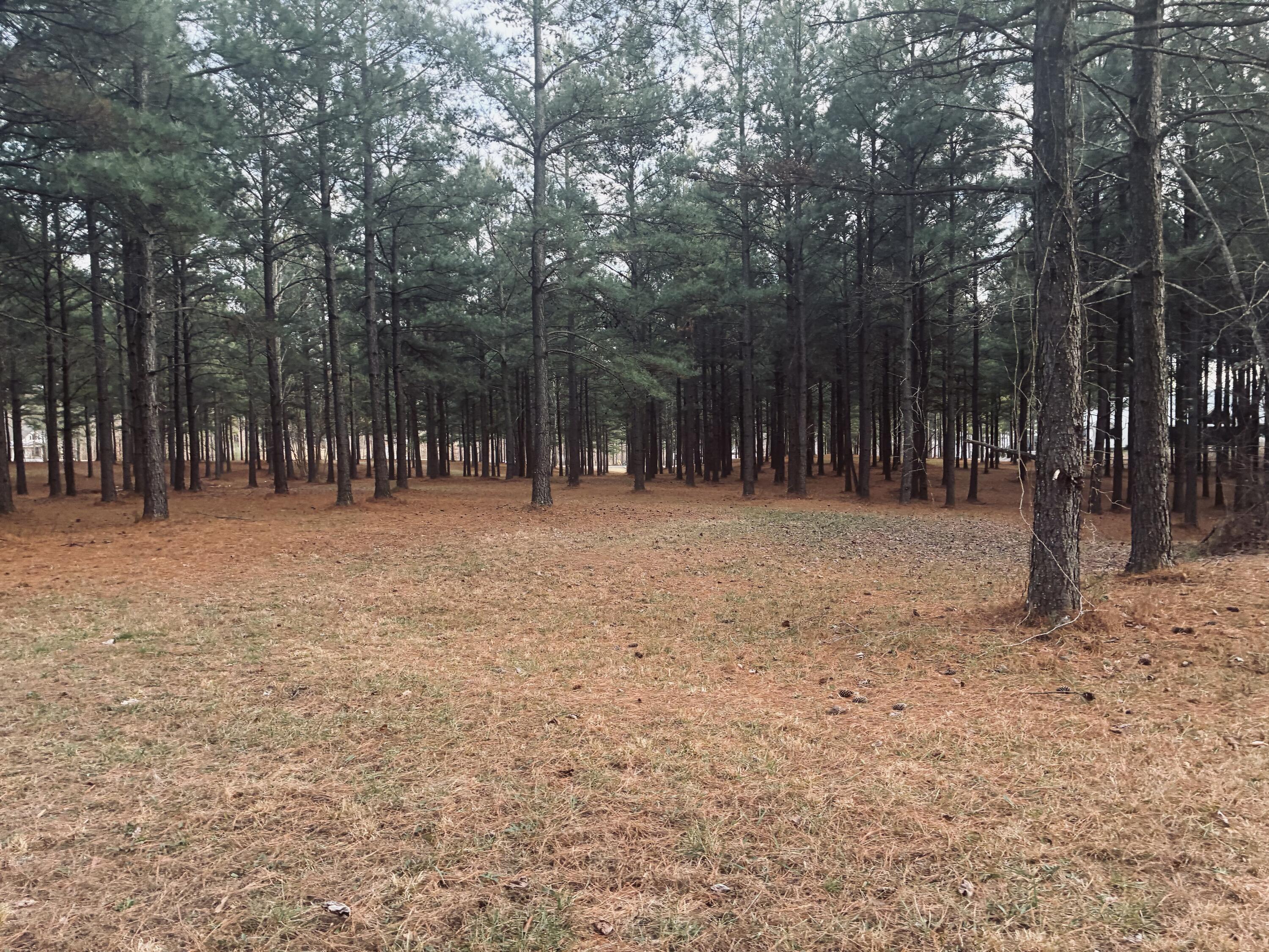 820 Cumberland Circle, Sv-354