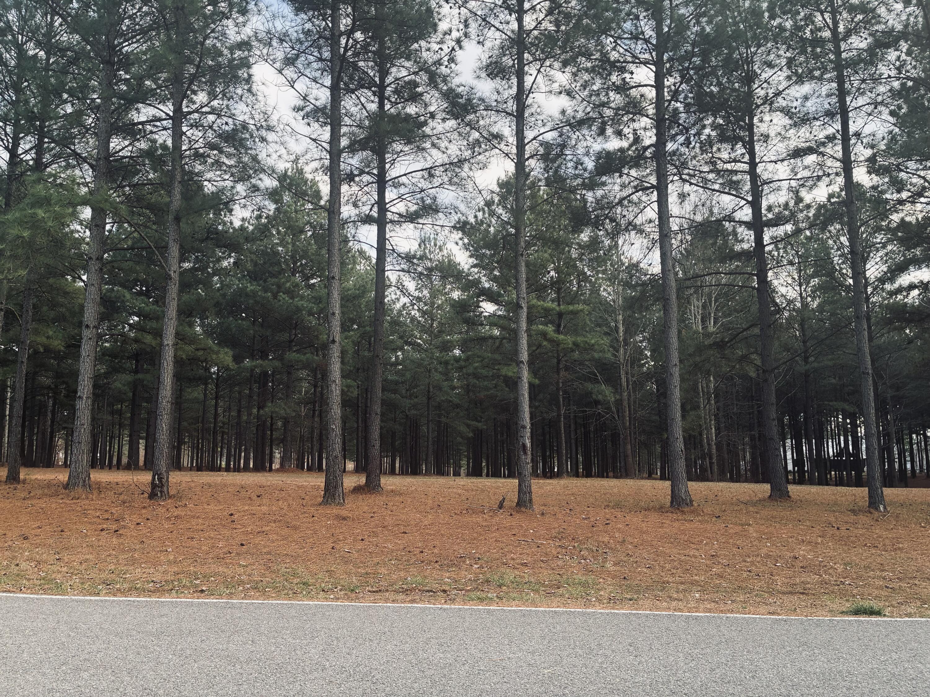820 Cumberland Circle, Sv-354