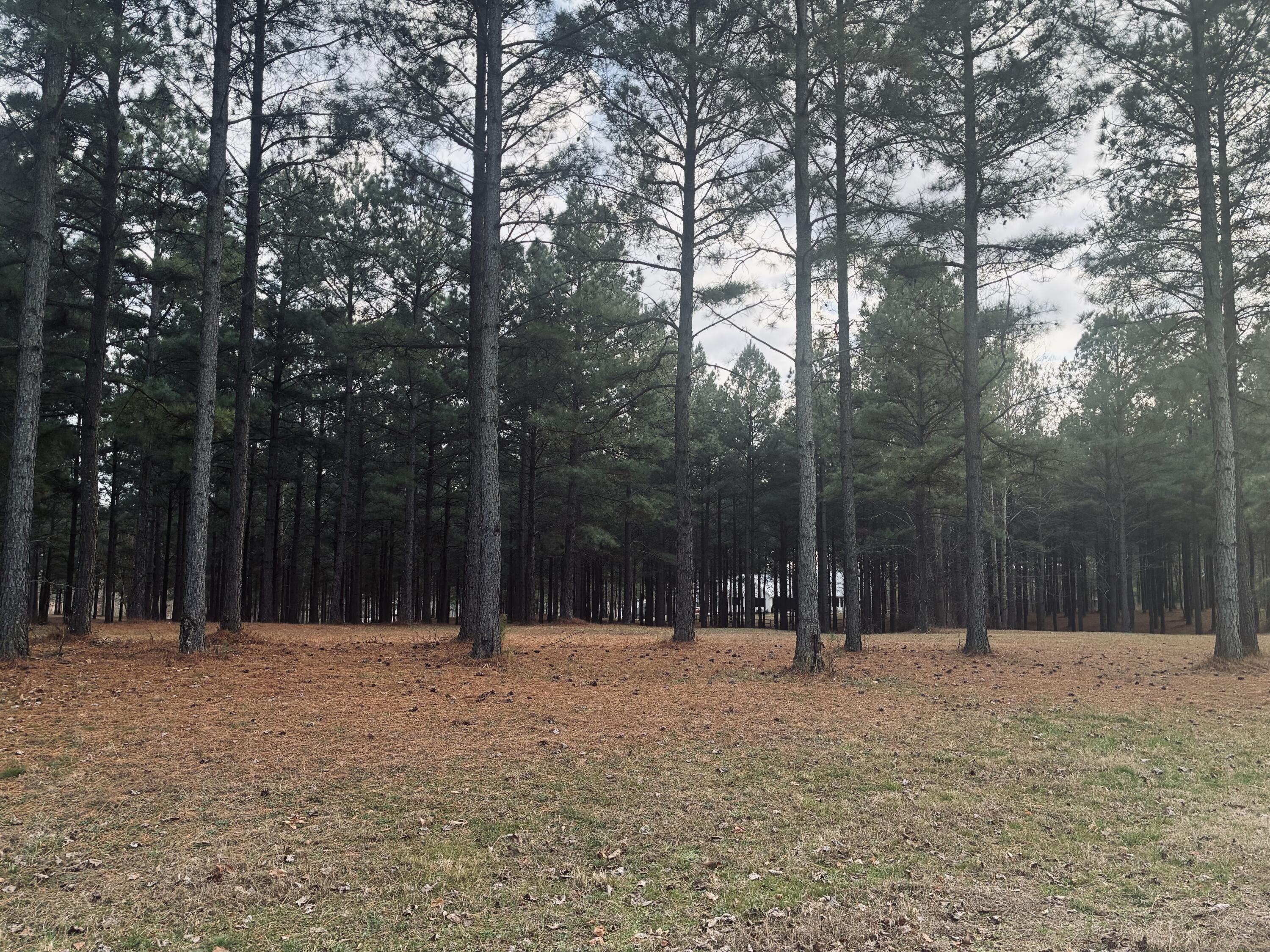 820 Cumberland Circle, Sv-354