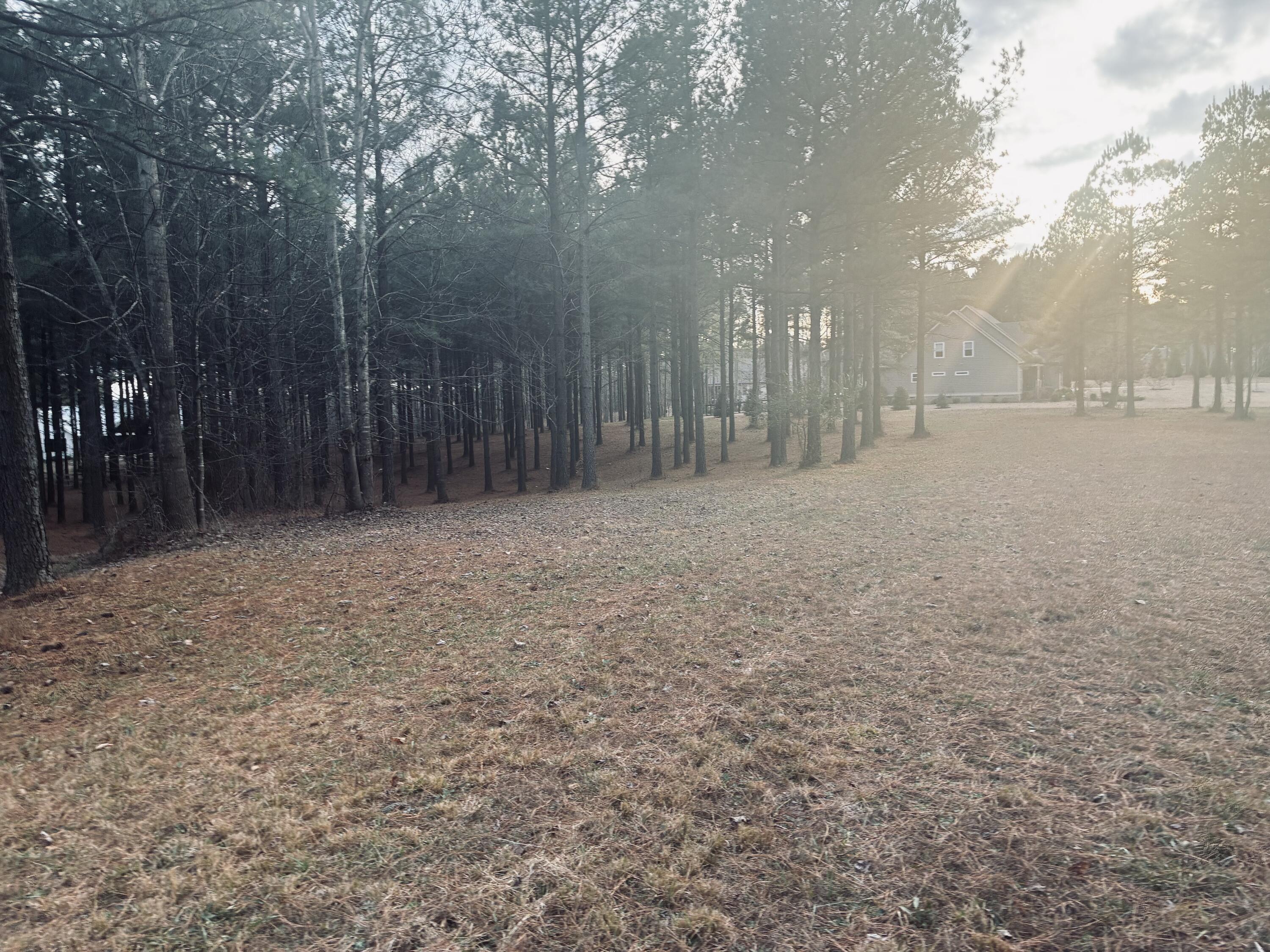 820 Cumberland Circle, Sv-354