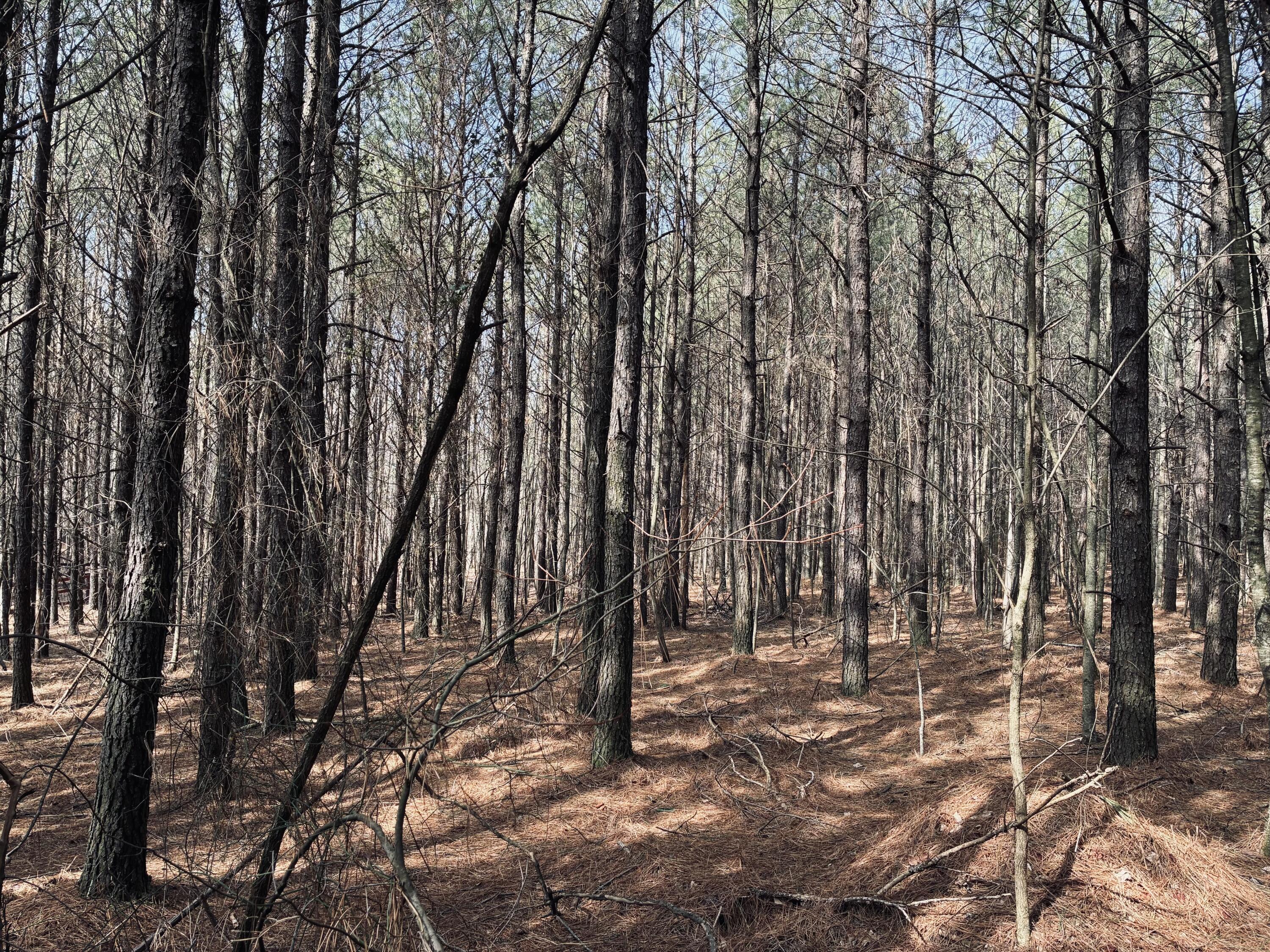 3290 Crockett Point, Jf-312