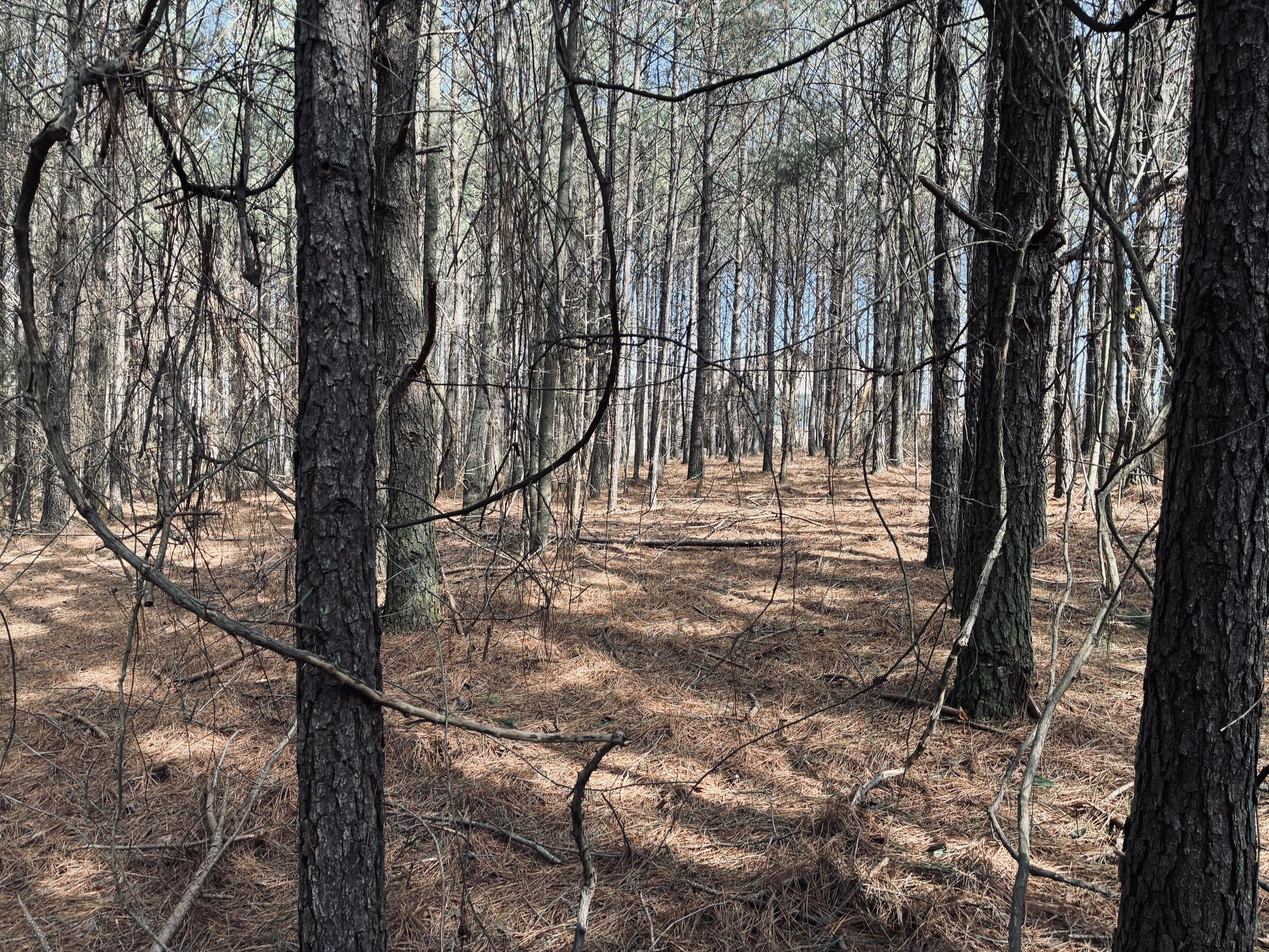 3290 Crockett Point, Jf-312