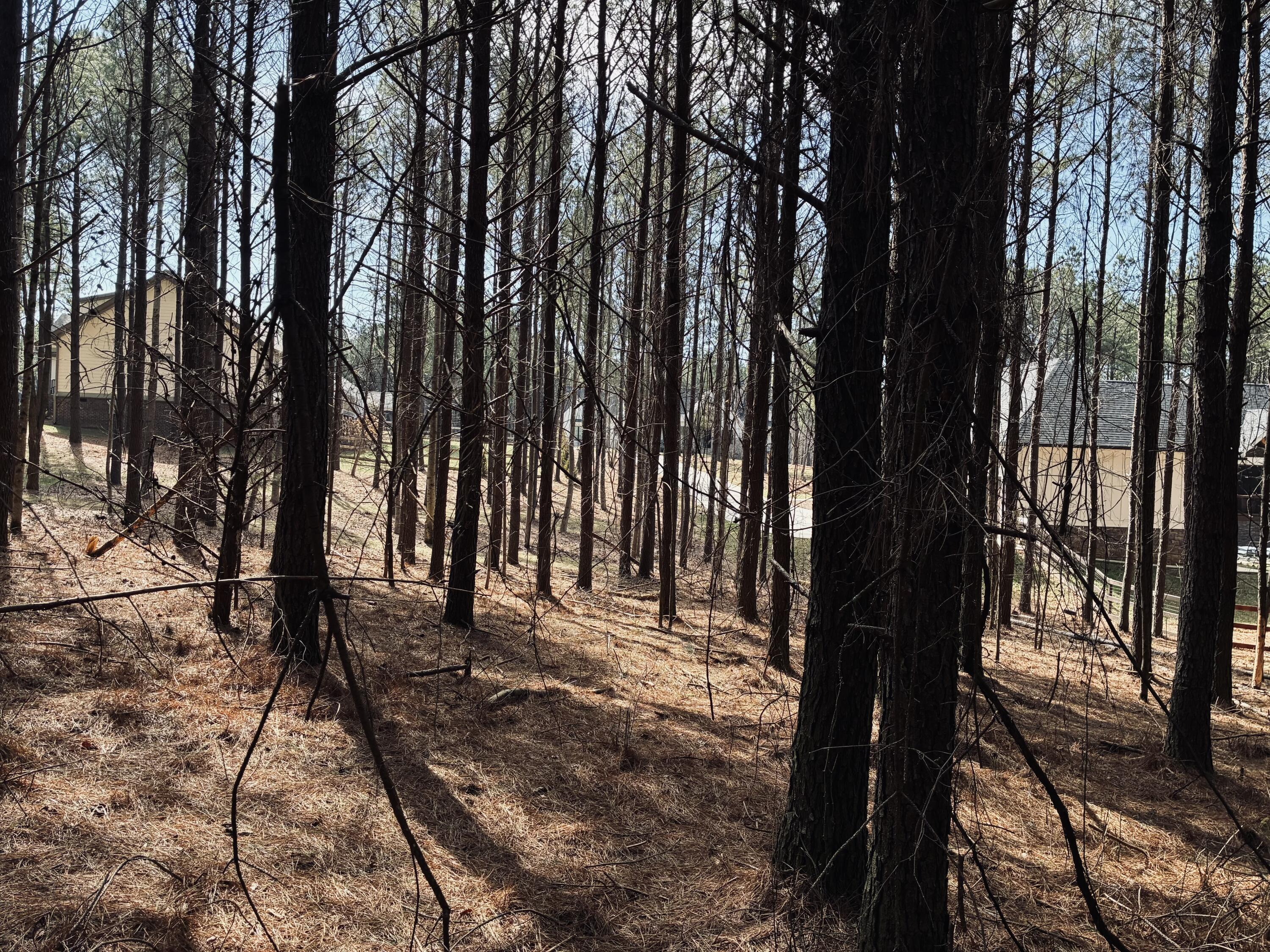 3290 Crockett Point, Jf-312