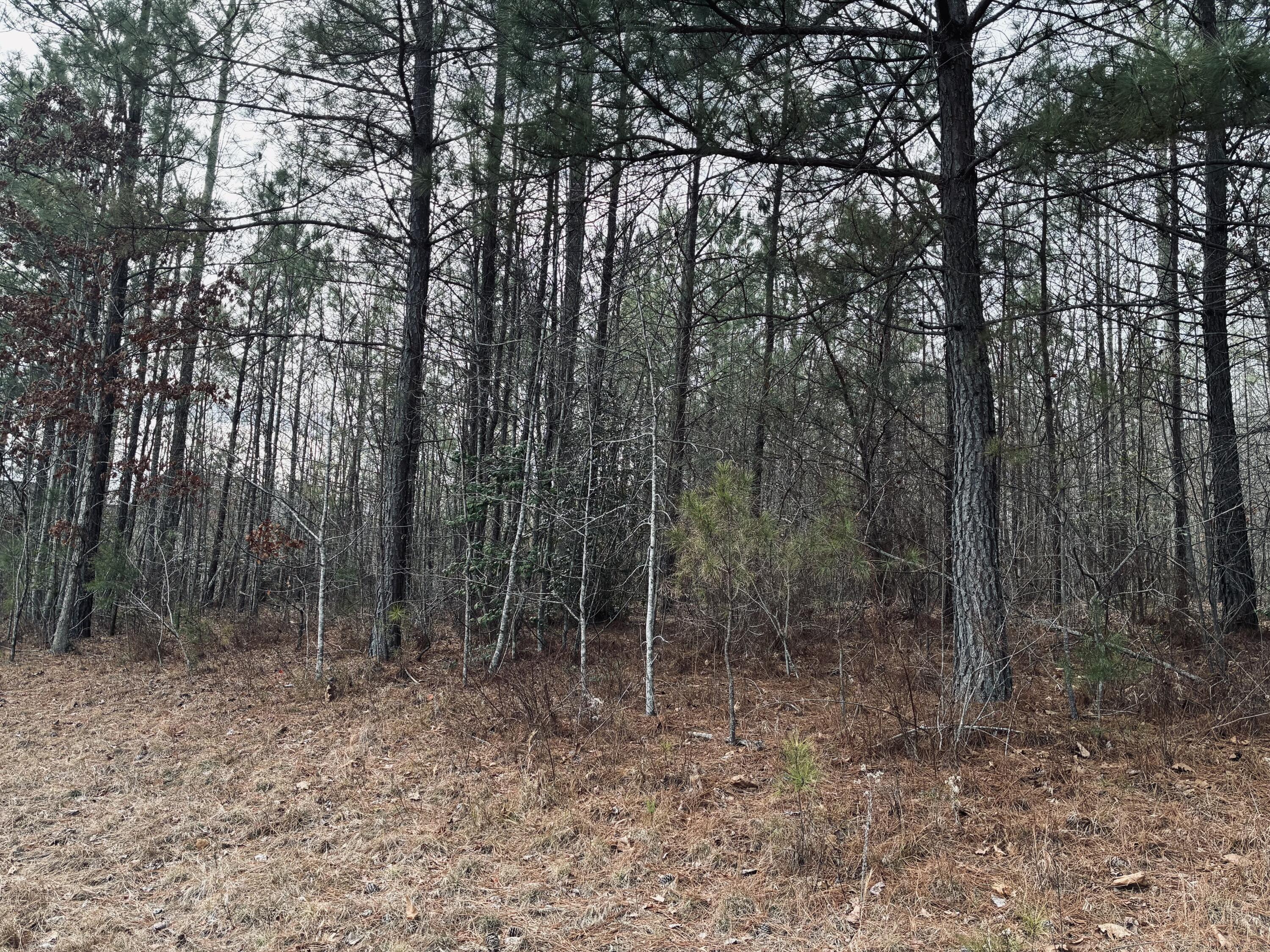 0 Raulston Falls Road, Jf-99
