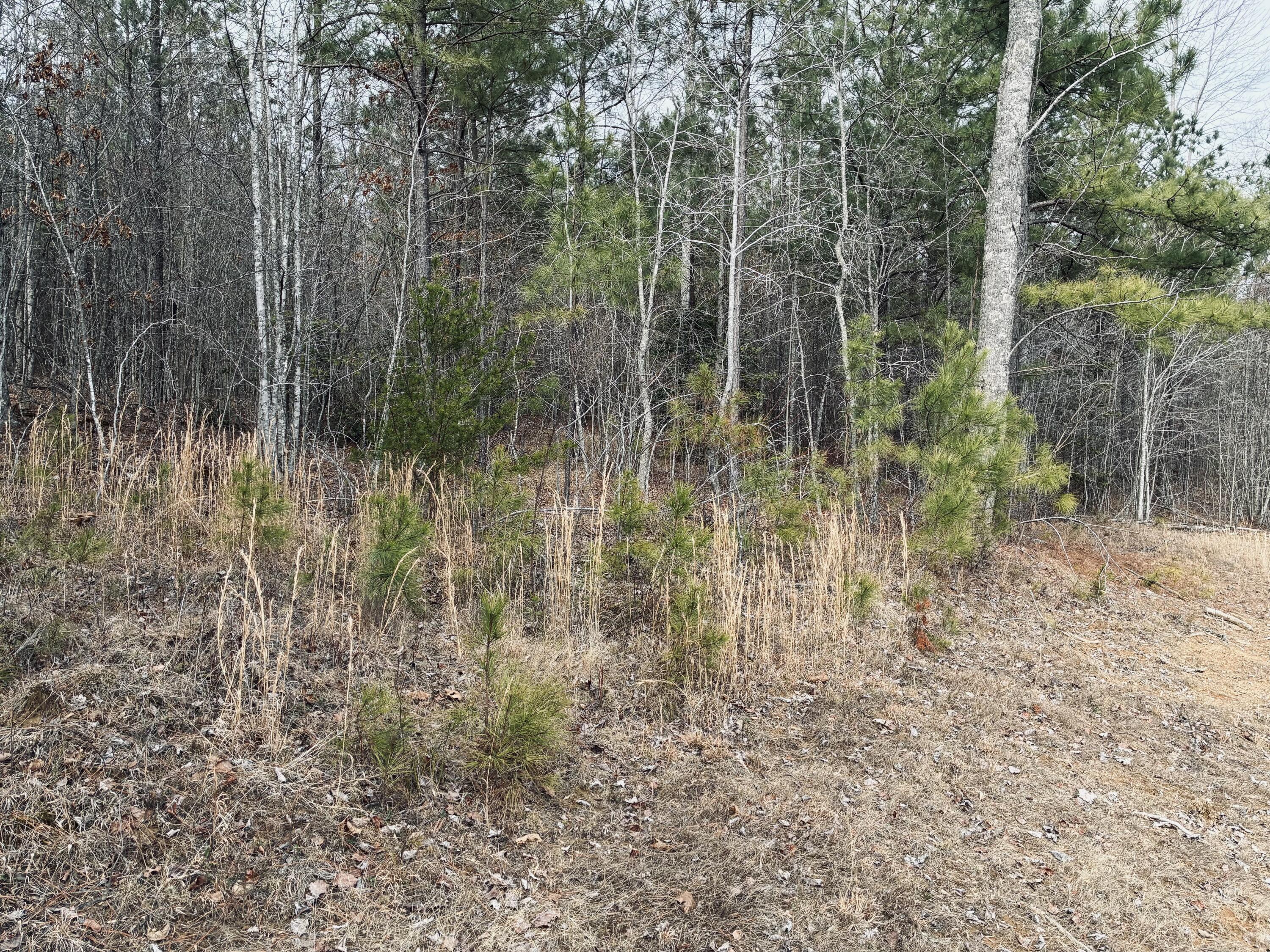 0 Raulston Falls Road, Jf-99