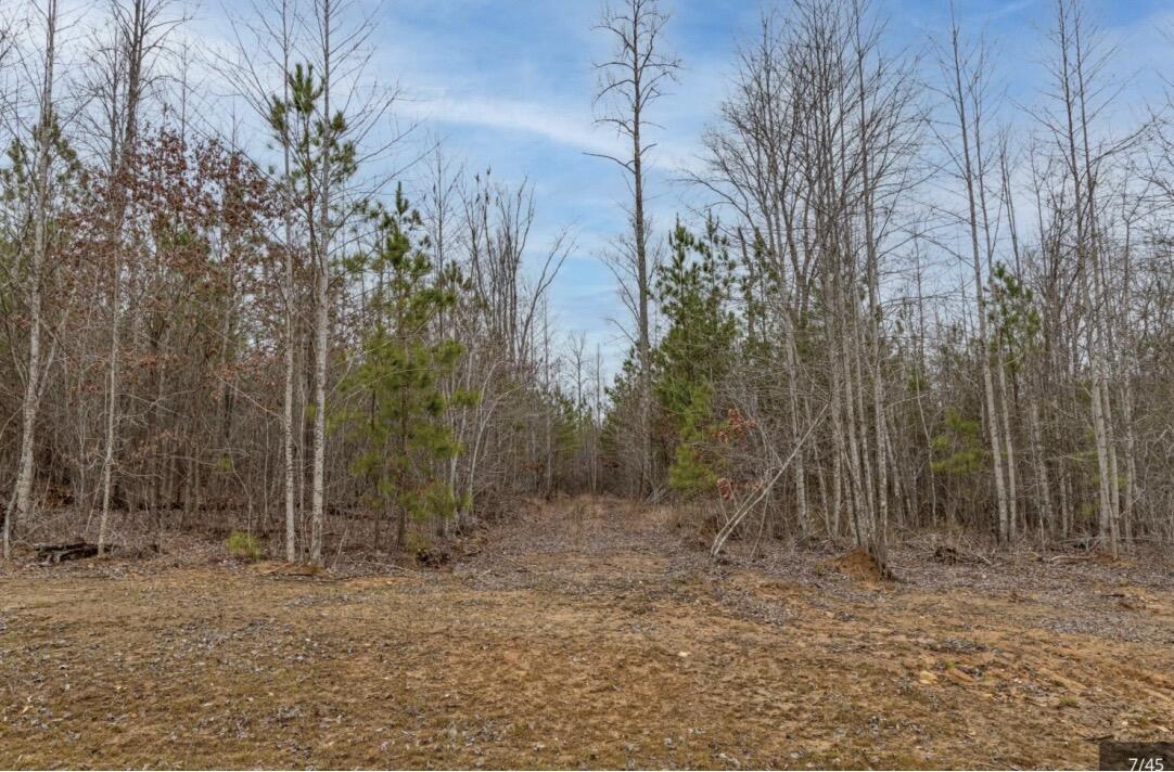 0 Raulston Falls Road, Jf-99