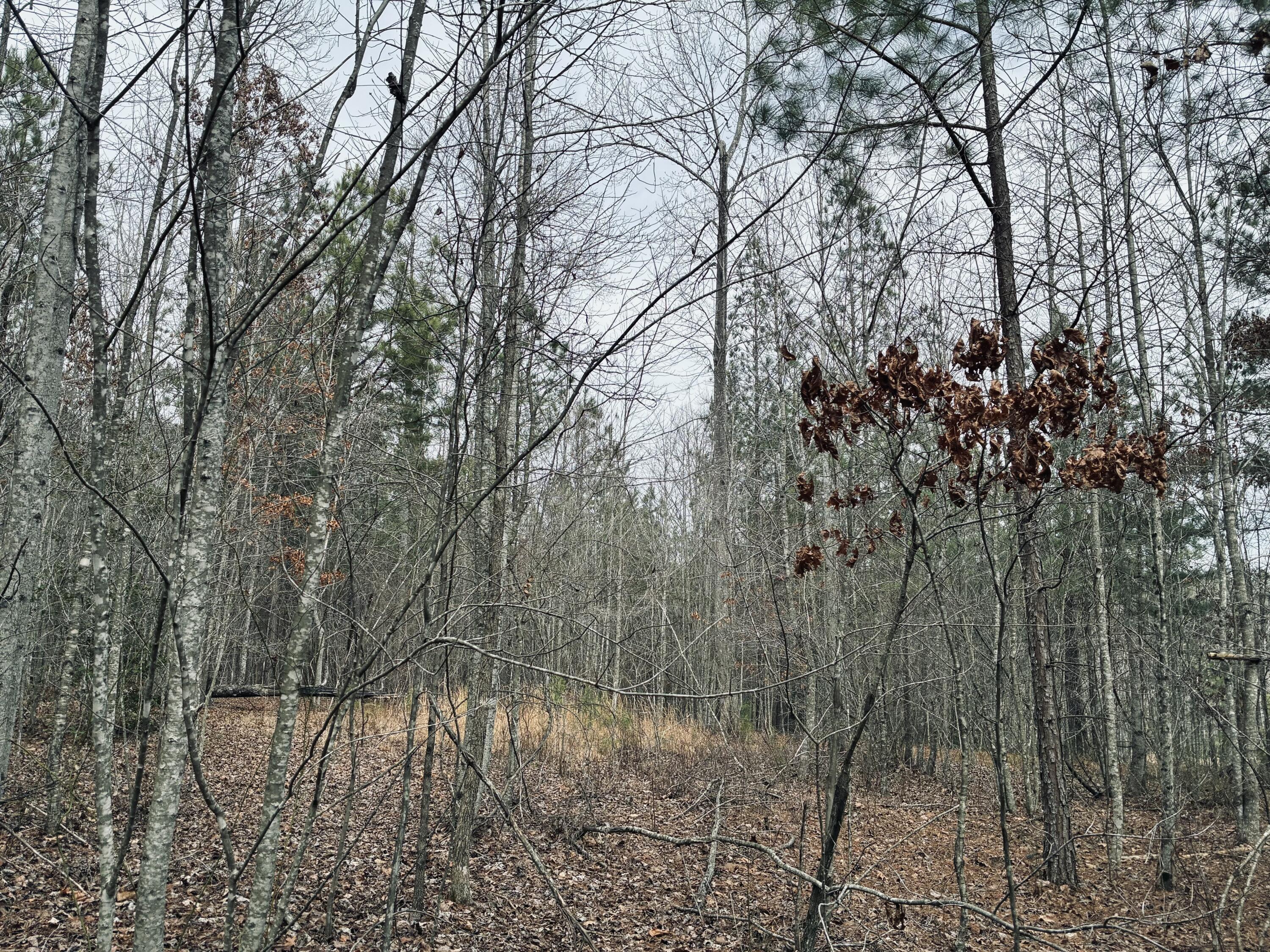 0 Raulston Falls Road, Jf-99