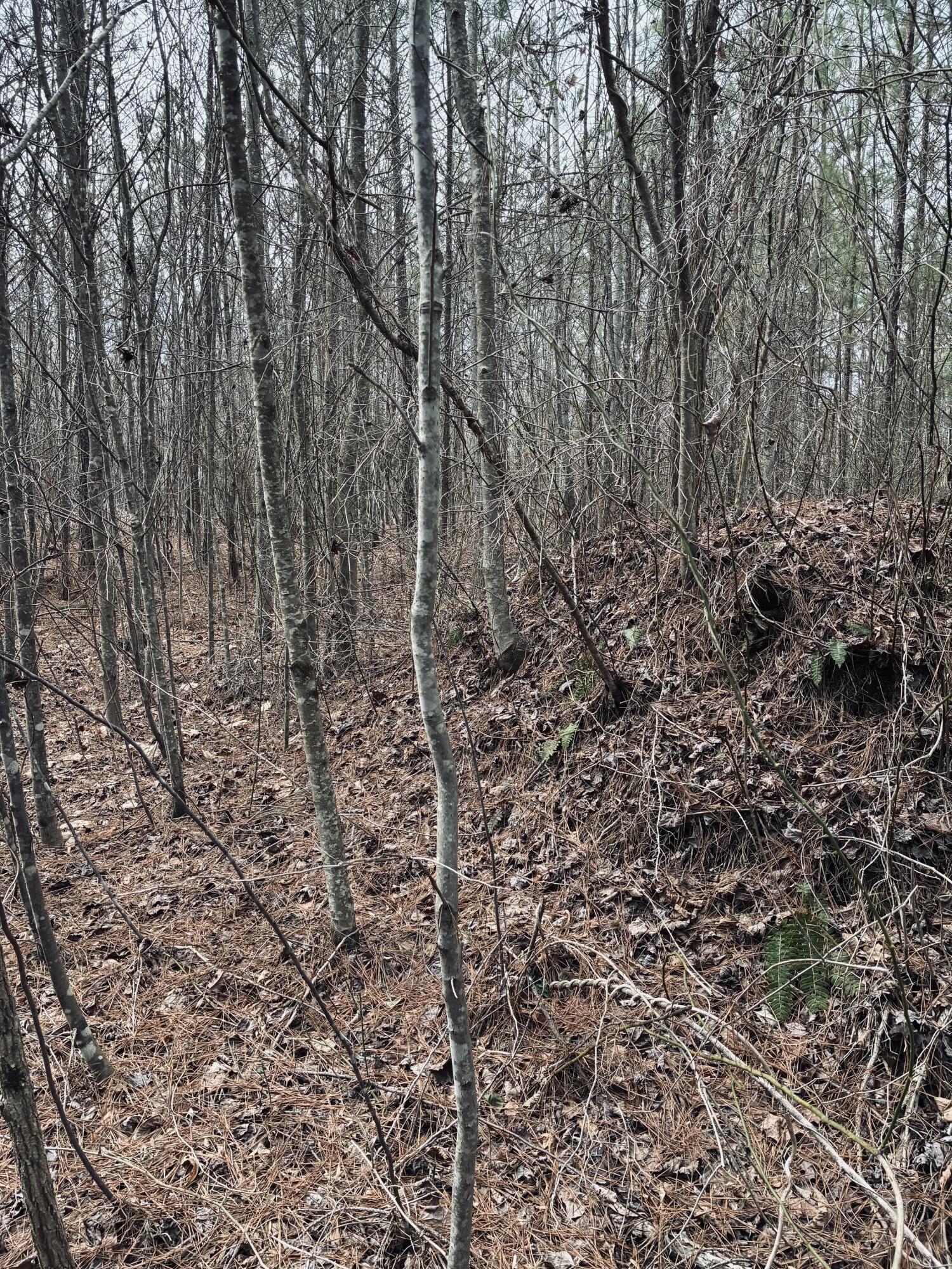 0 Raulston Falls Road, Jf-99