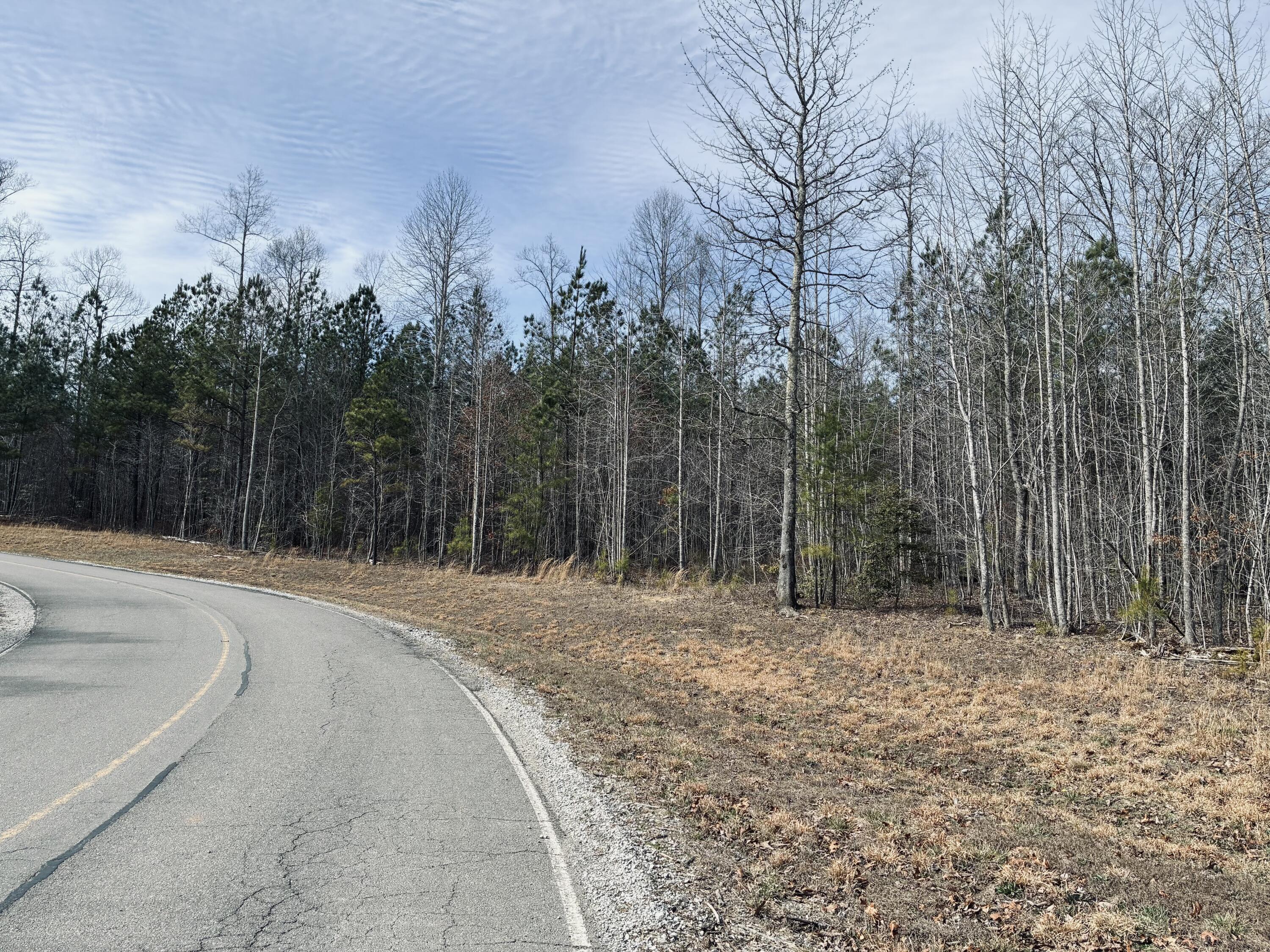 0 Raulston Falls Road, Jf-99