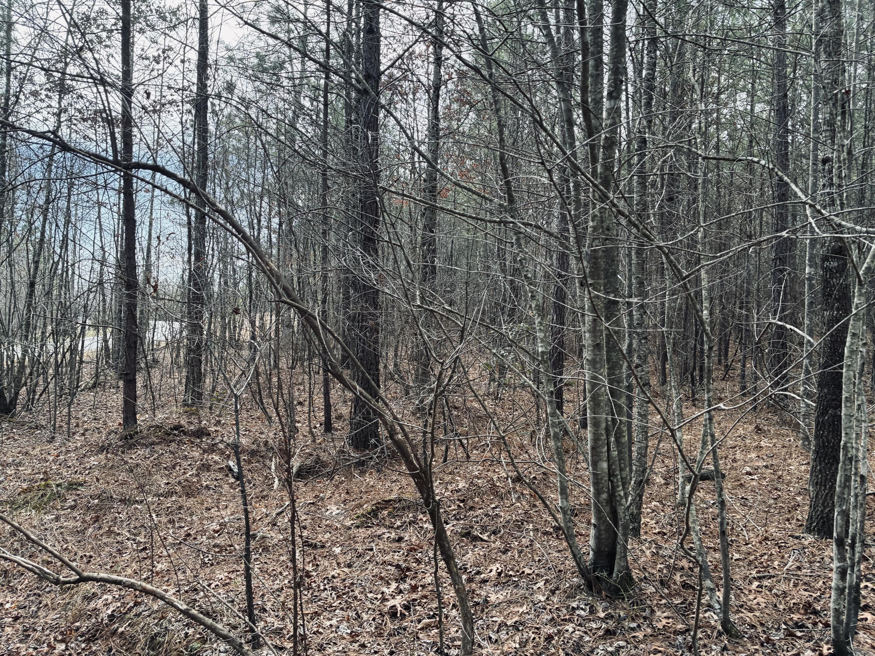 0 Raulston Falls Road, Jf-99