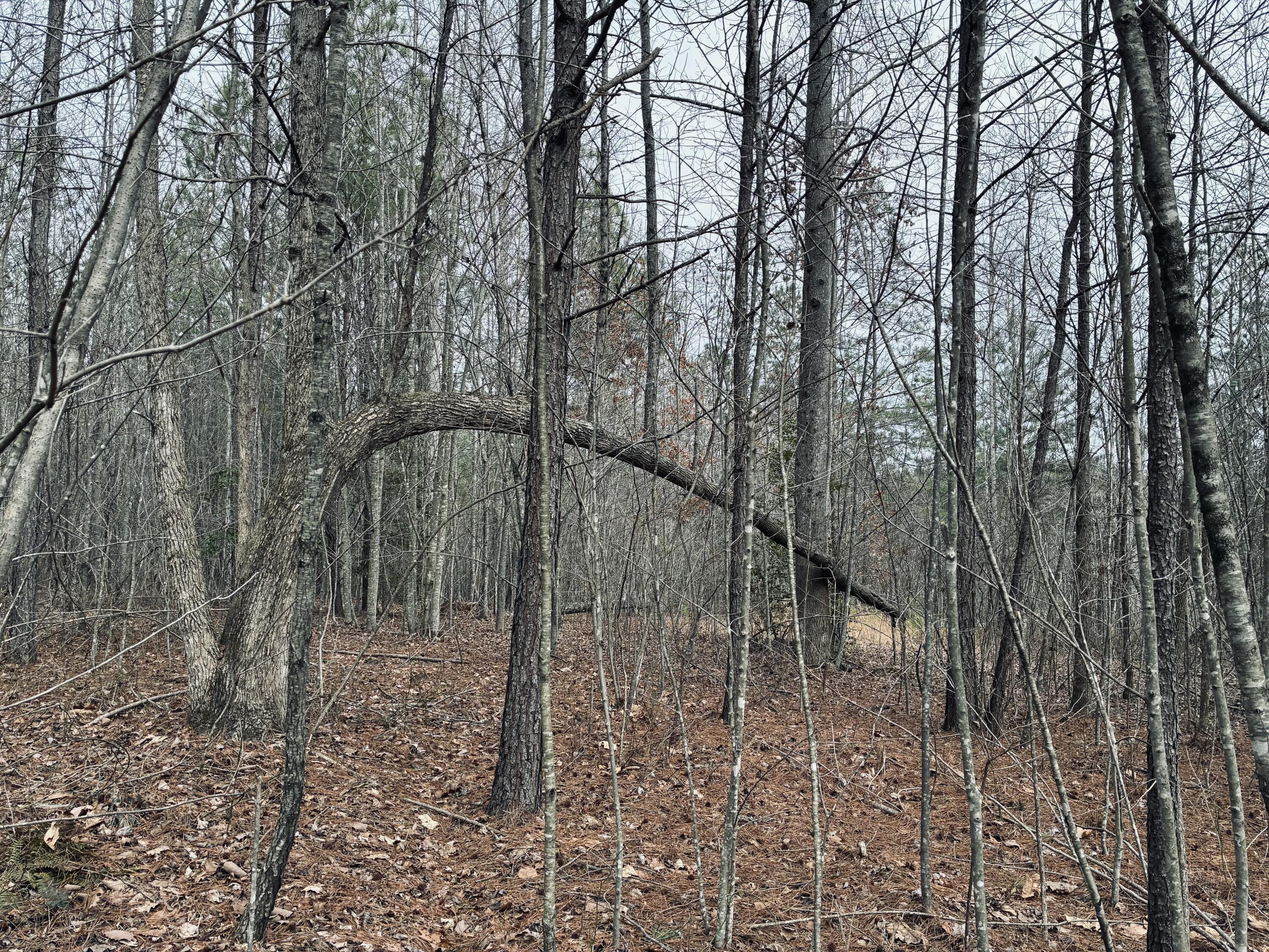 0 Raulston Falls Road, Jf-99