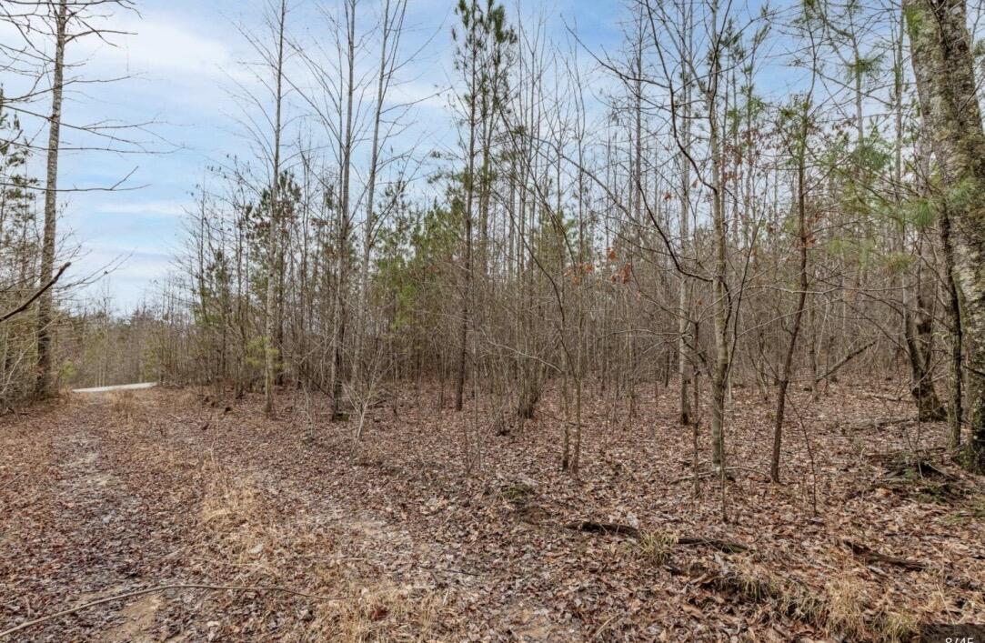 0 Raulston Falls Road, Jf-99