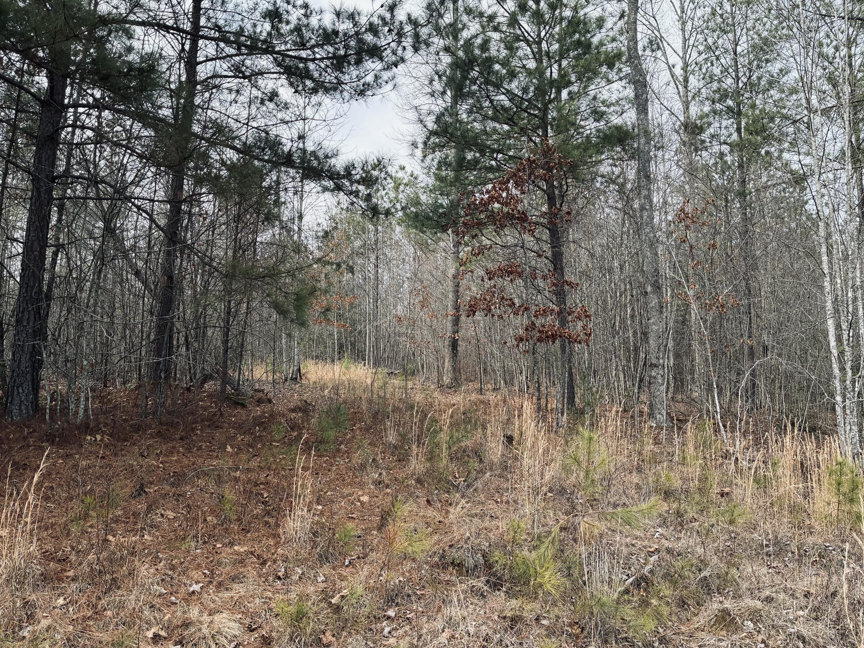 0 Raulston Falls Road, Jf-99