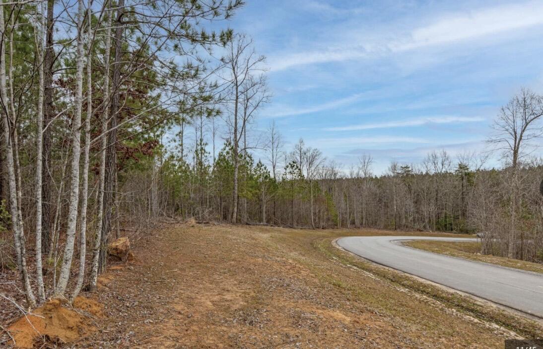 0 Raulston Falls Road, Jf-99