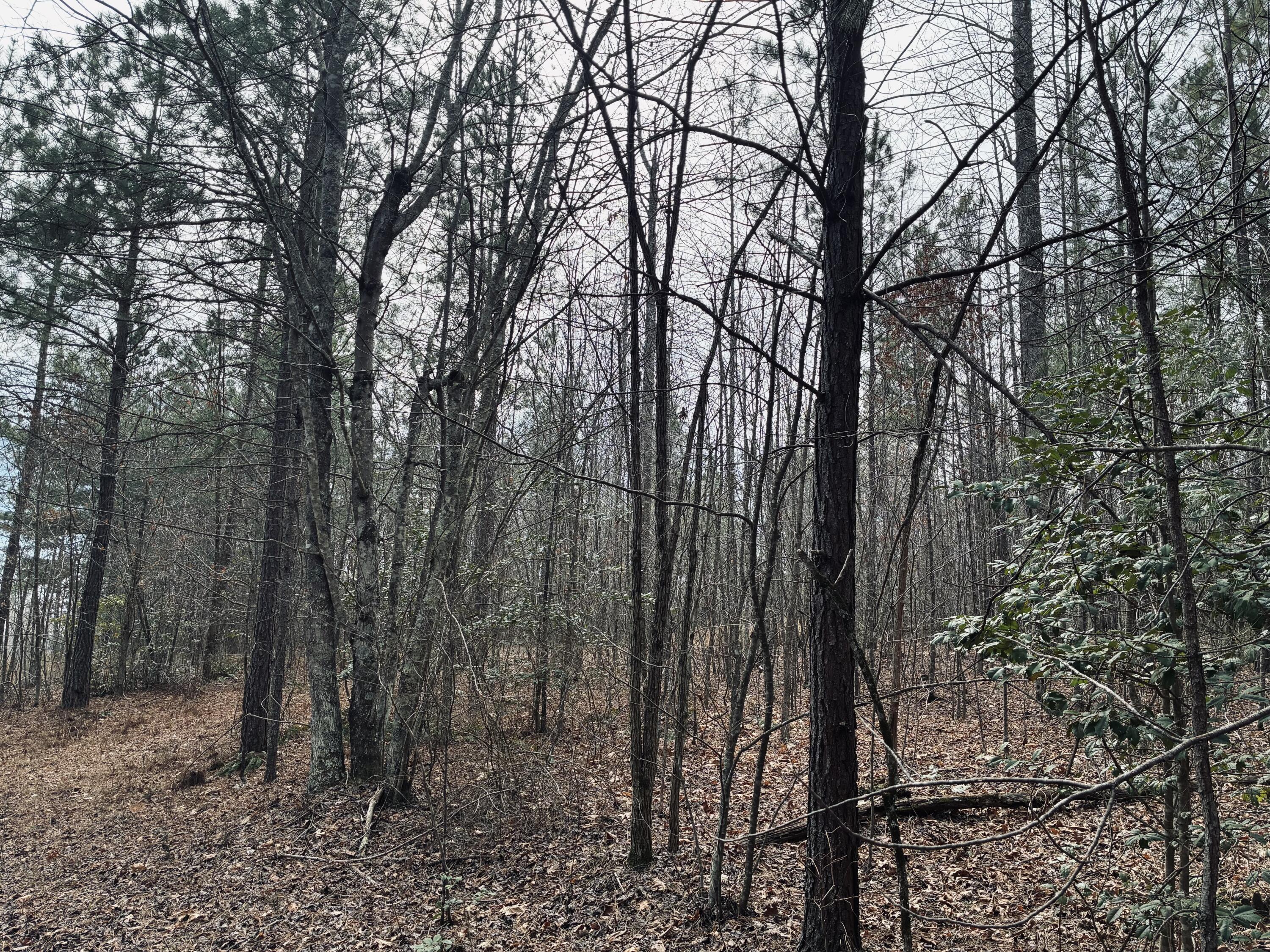 0 Raulston Falls Road, Jf-99