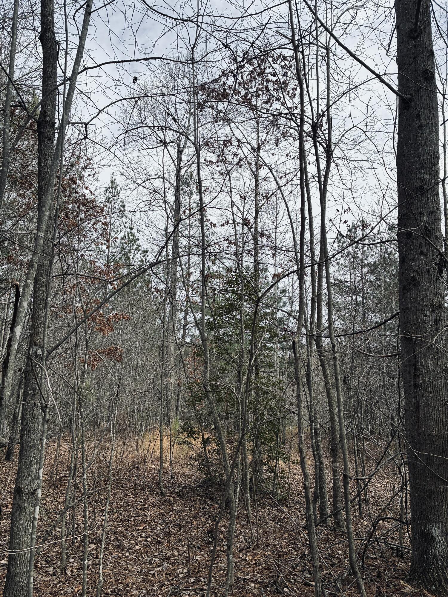 0 Raulston Falls Road, Jf-99