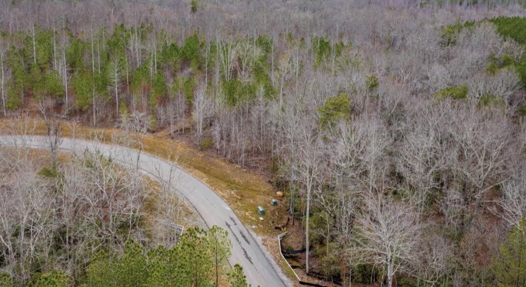 0 Raulston Falls Road, Jf-99