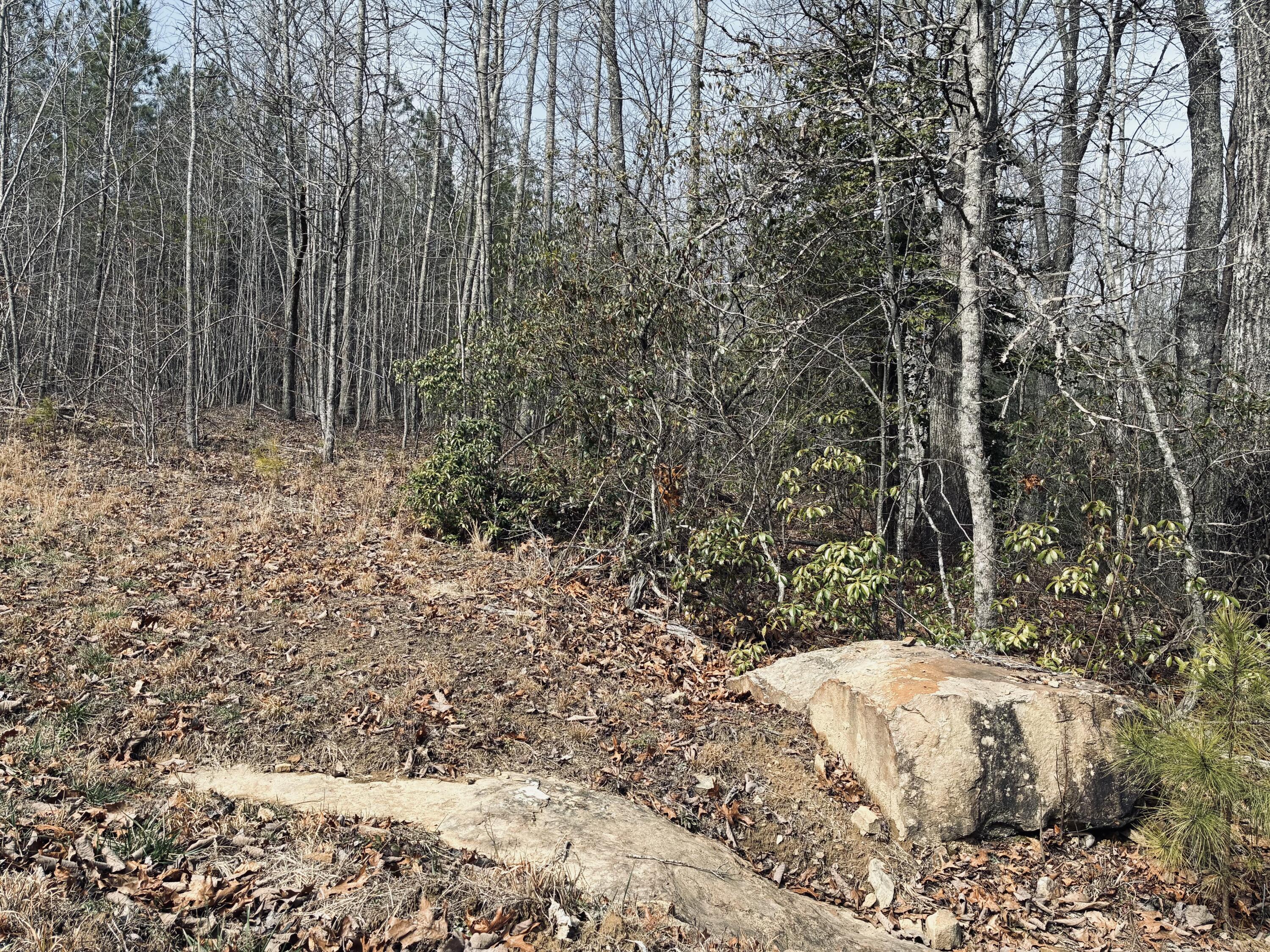 0 Raulston Falls Road, Jf-99
