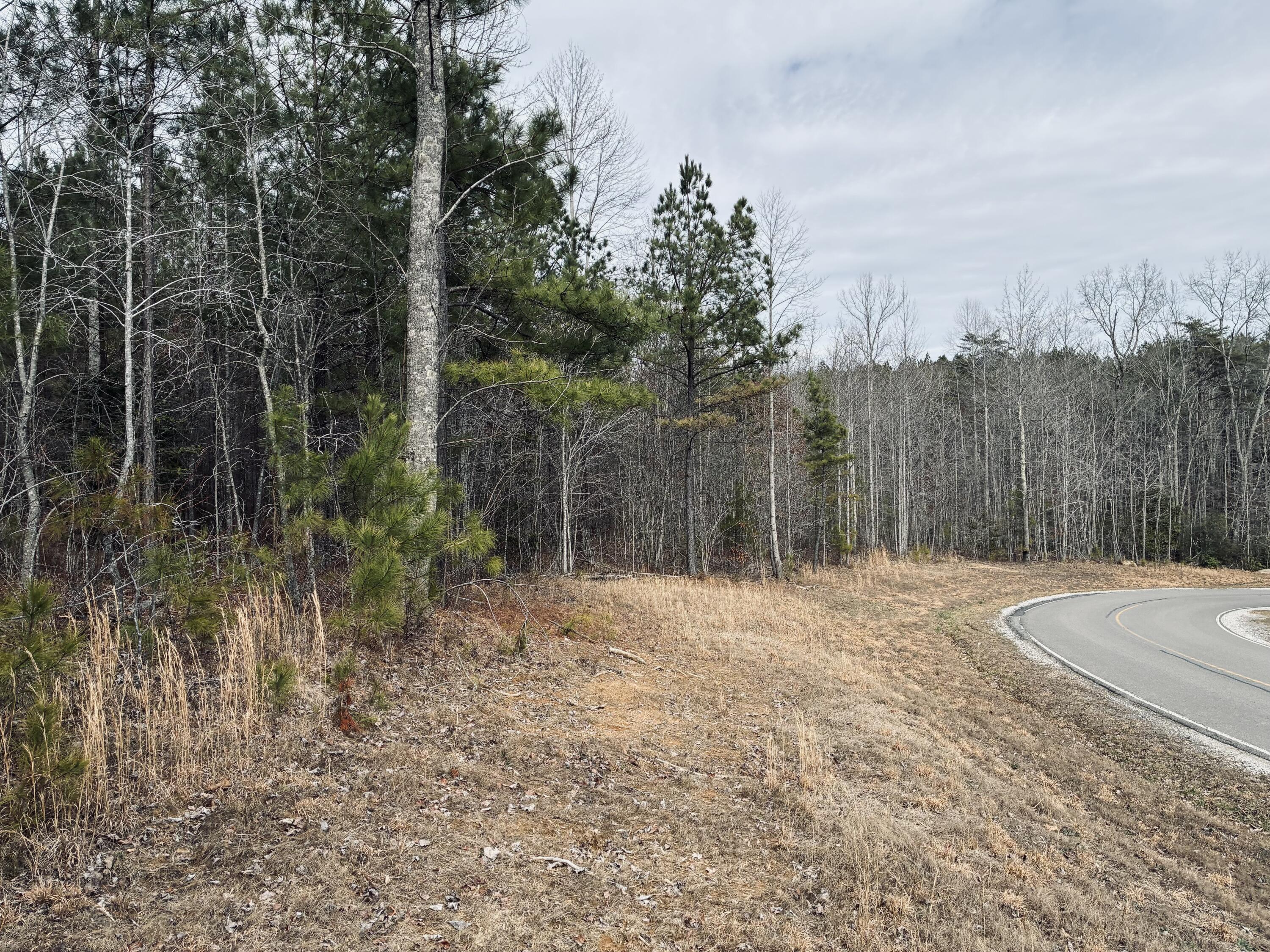 0 Raulston Falls Road, Jf-99