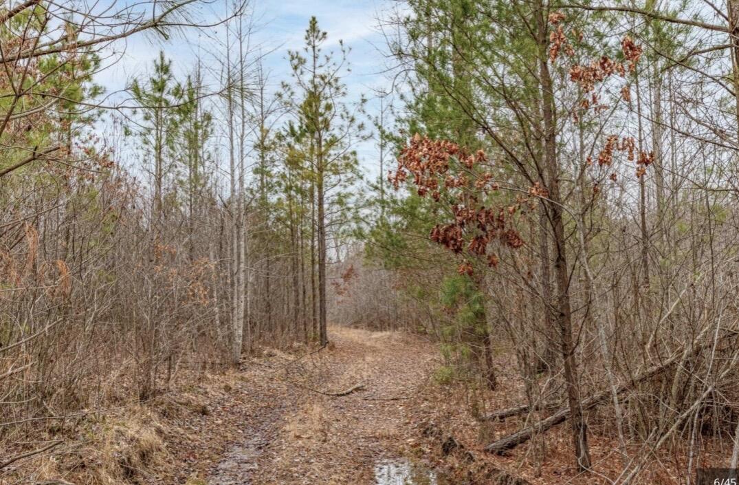 0 Raulston Falls Road, Jf-99