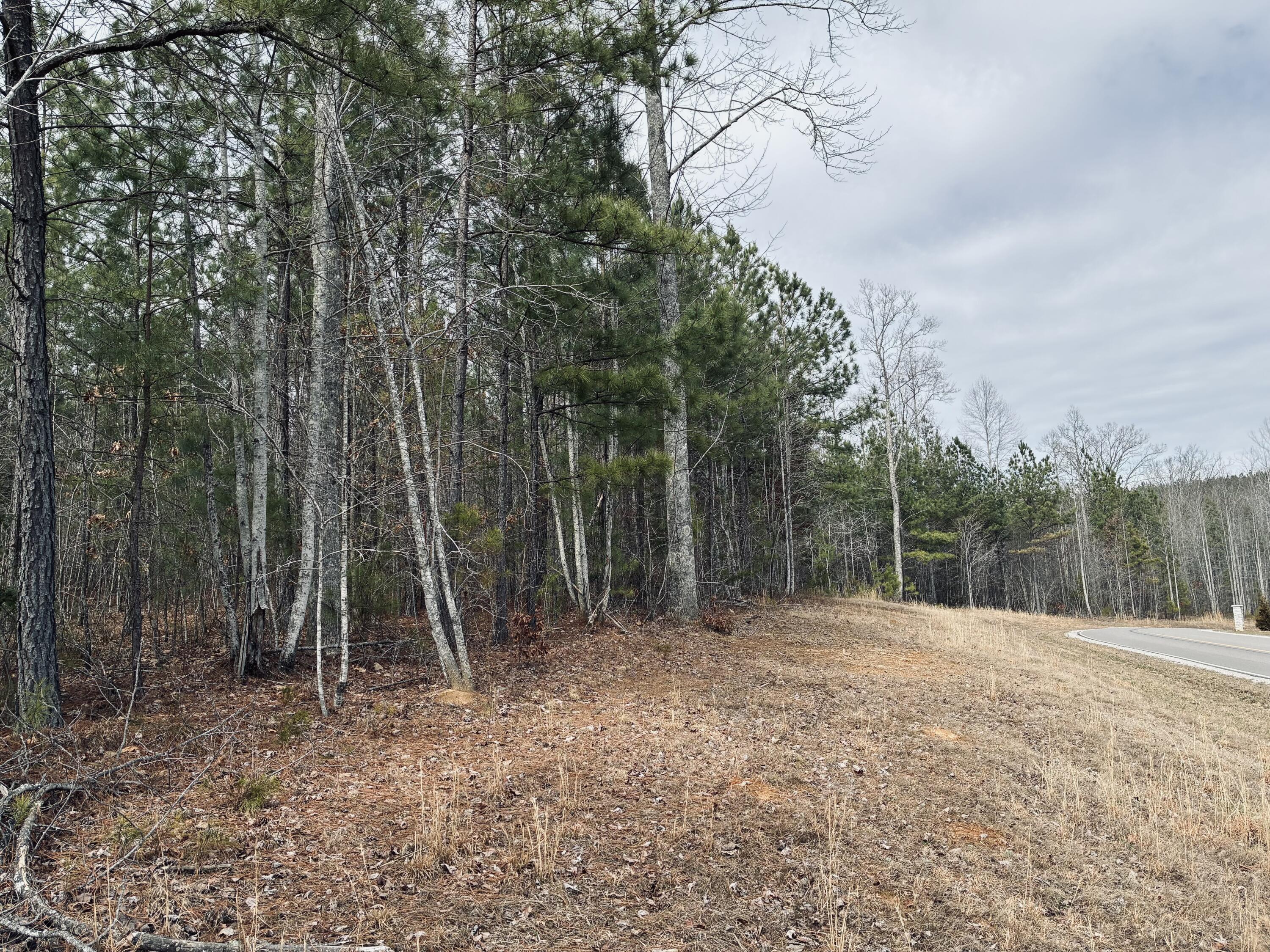 0 Raulston Falls Road, Jf-99