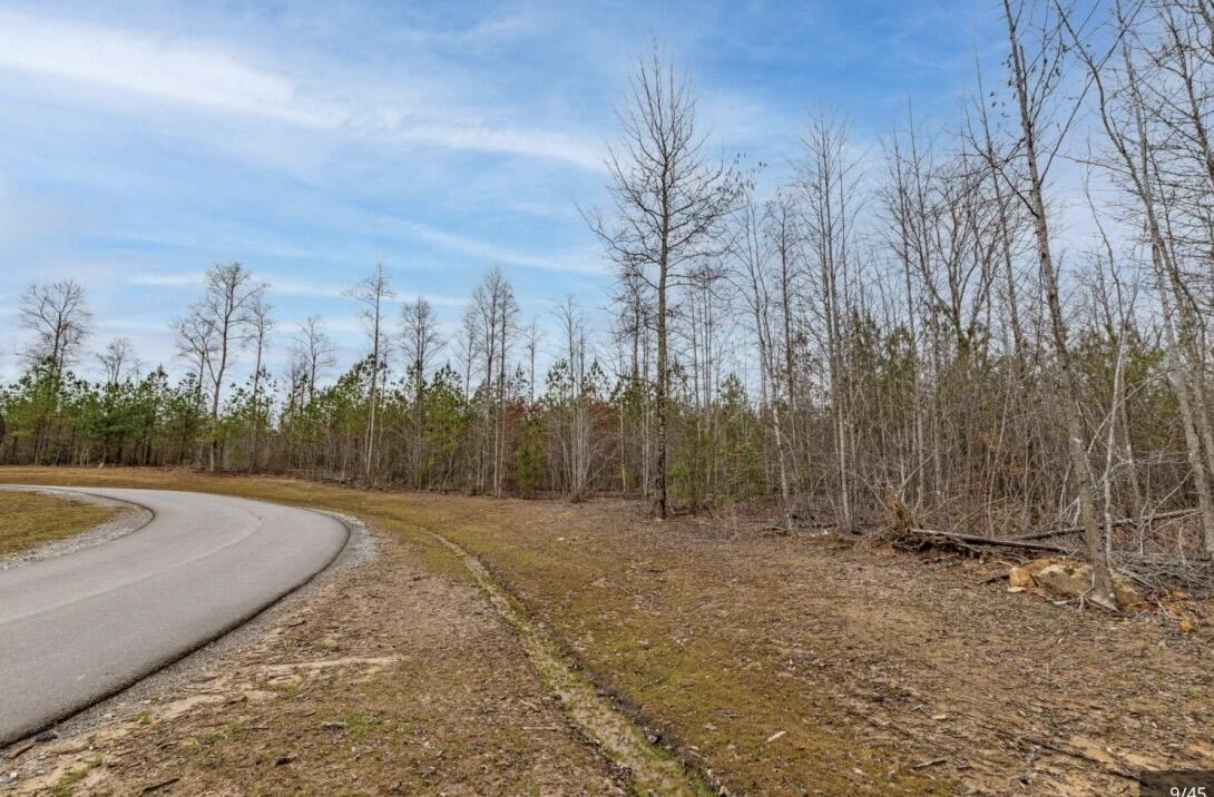 0 Raulston Falls Road, Jf-99