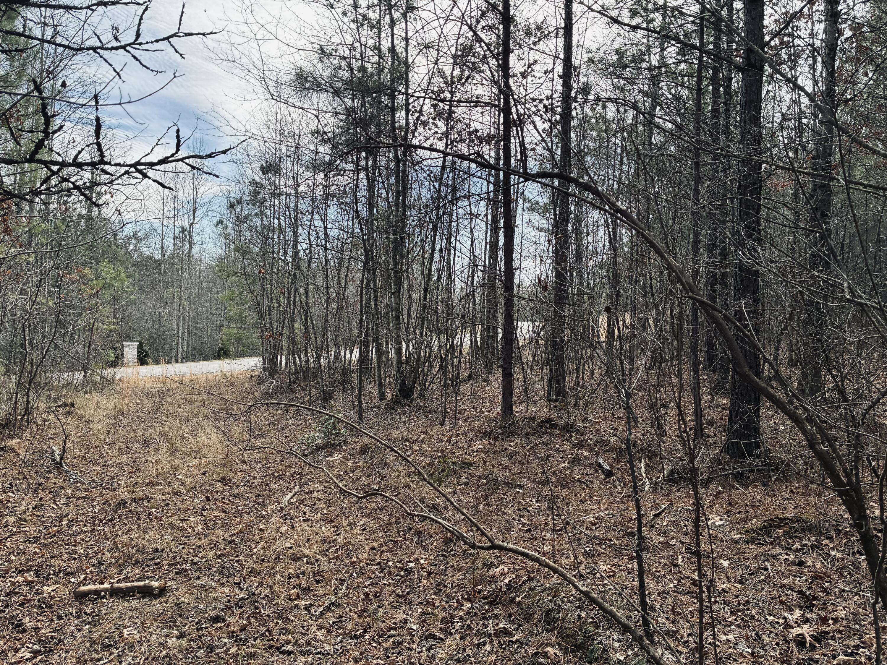 0 Raulston Falls Road, Jf-99