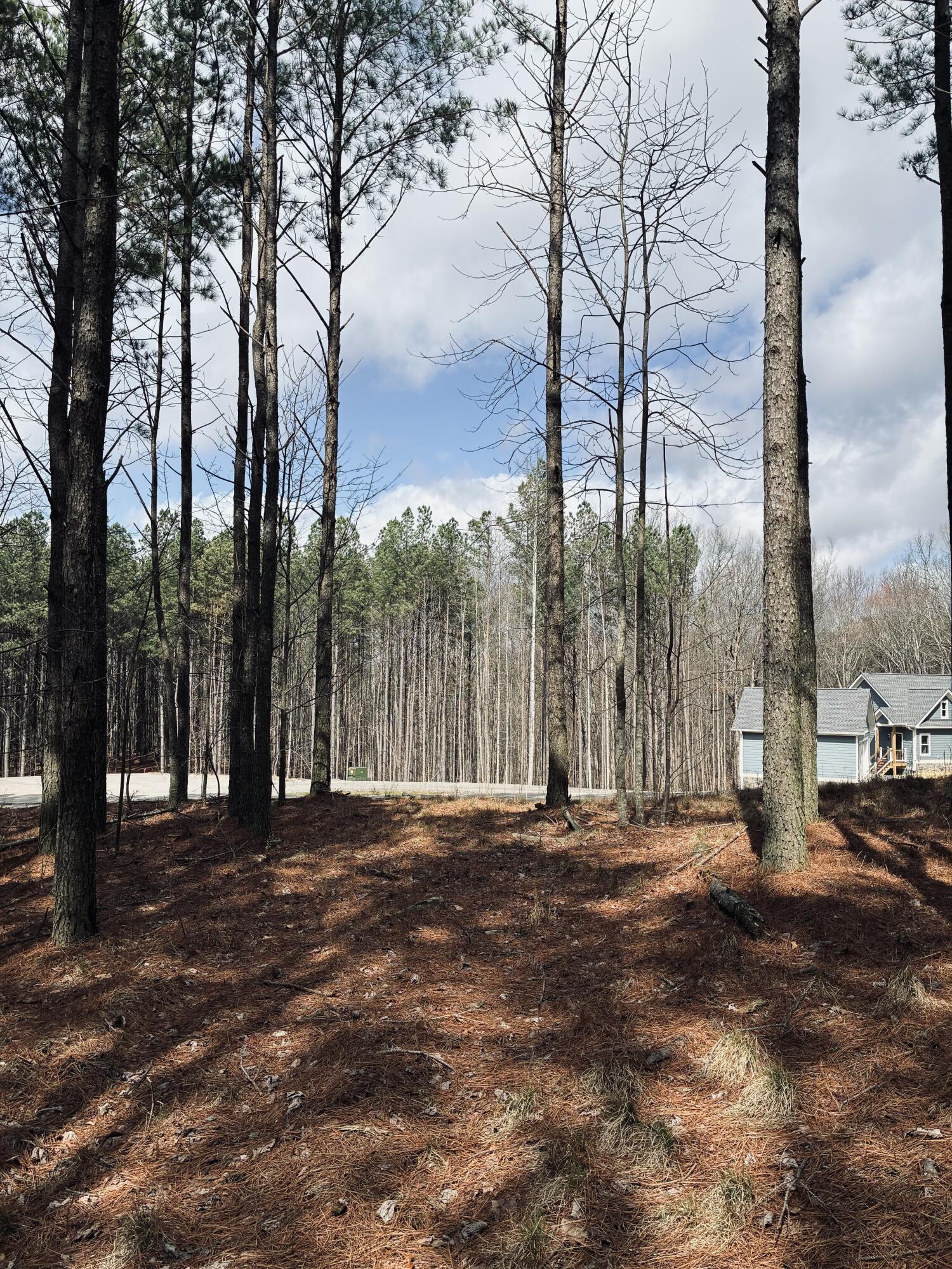 215 Honeybee Court, Jf-407