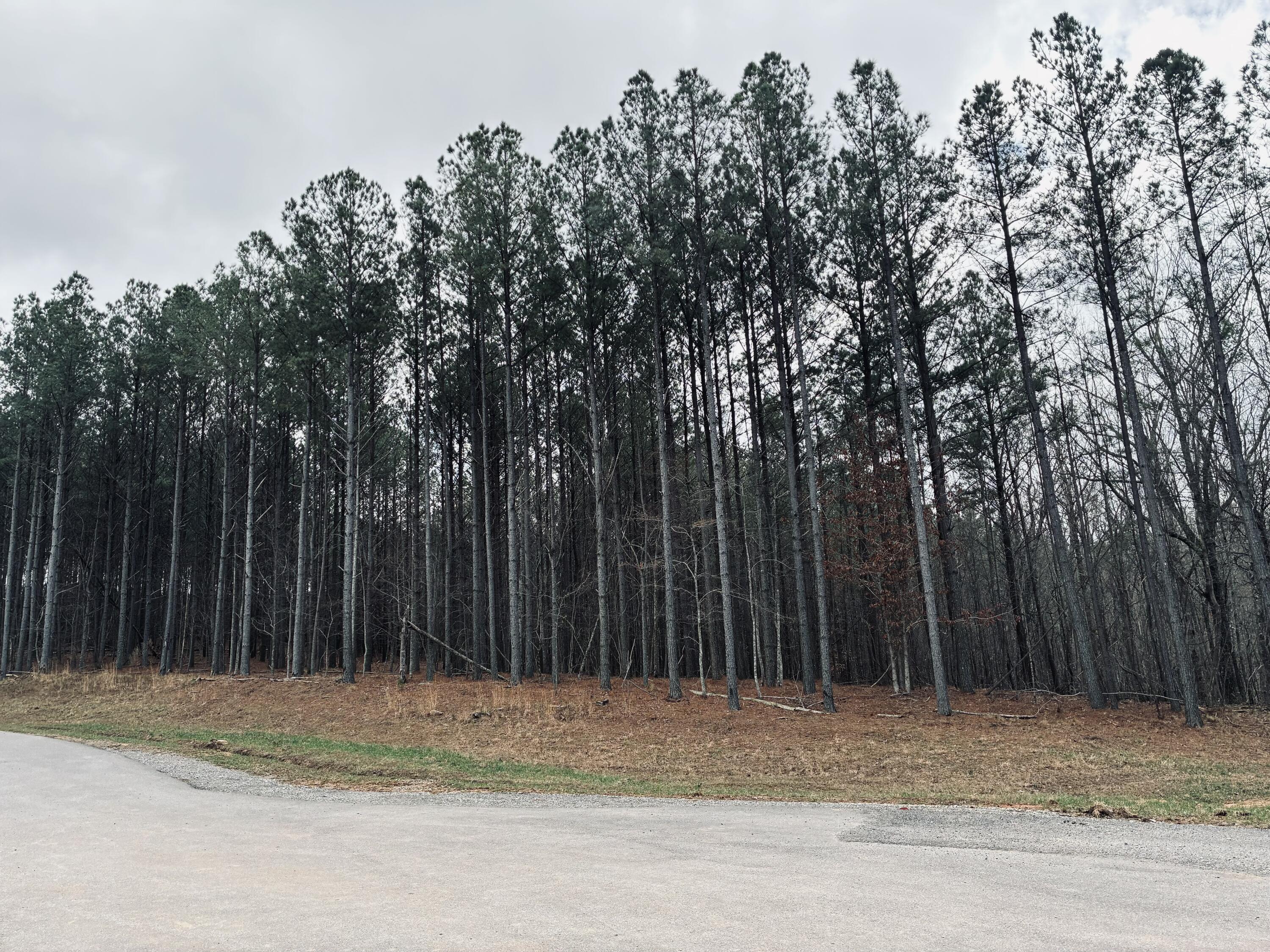 215 Honeybee Court, Jf-407