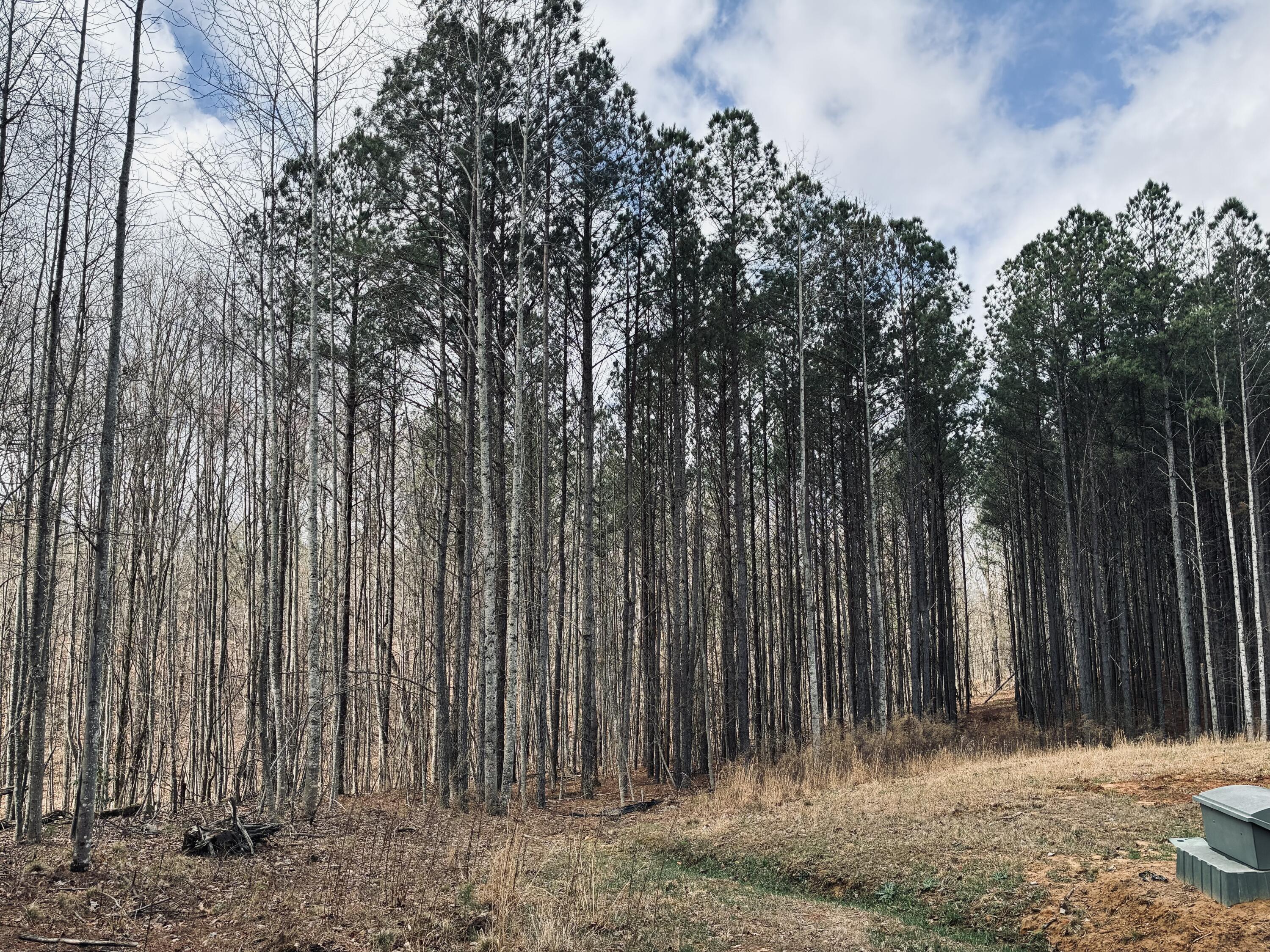 215 Honeybee Court, Jf-407