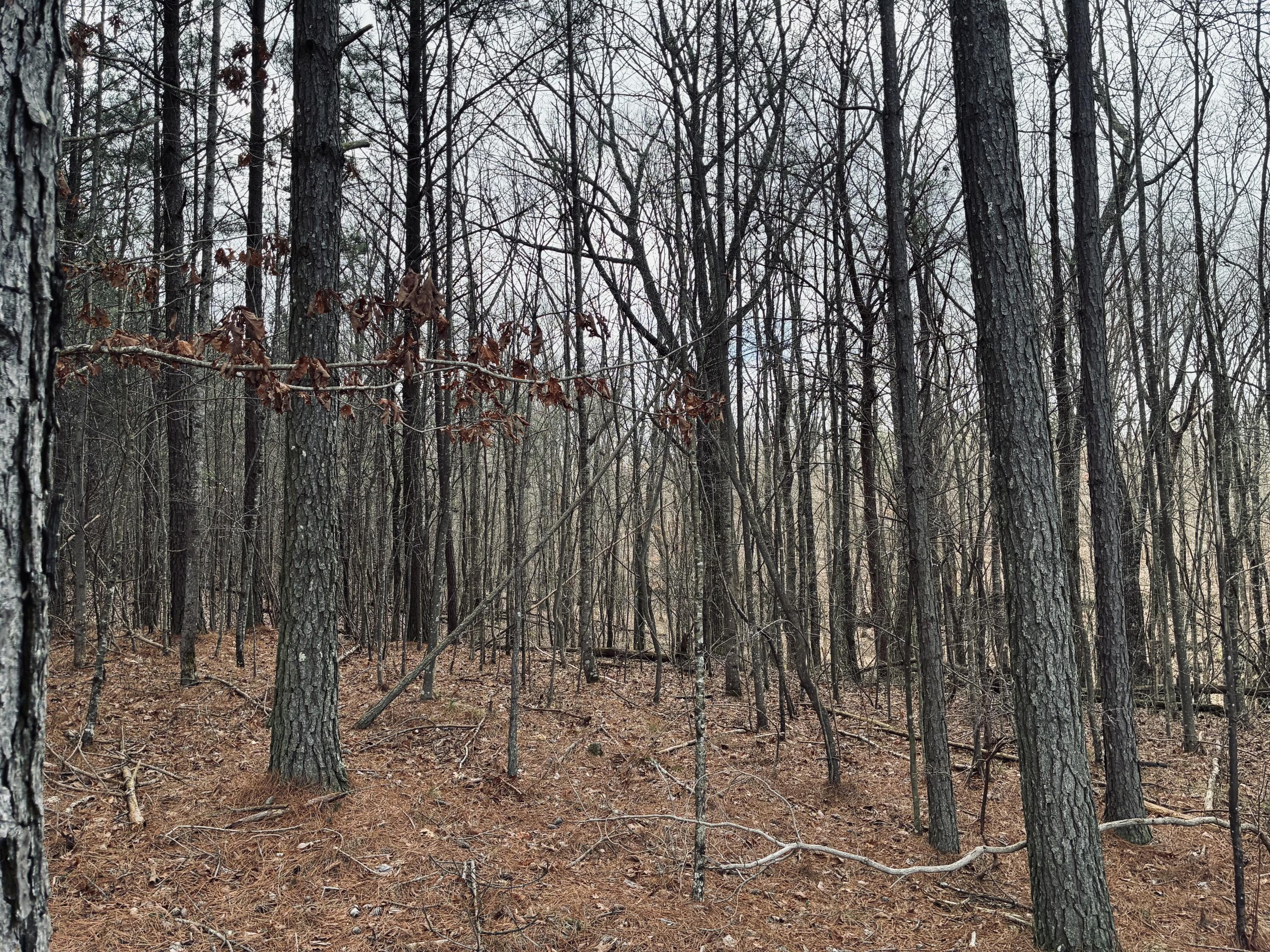 215 Honeybee Court, Jf-407
