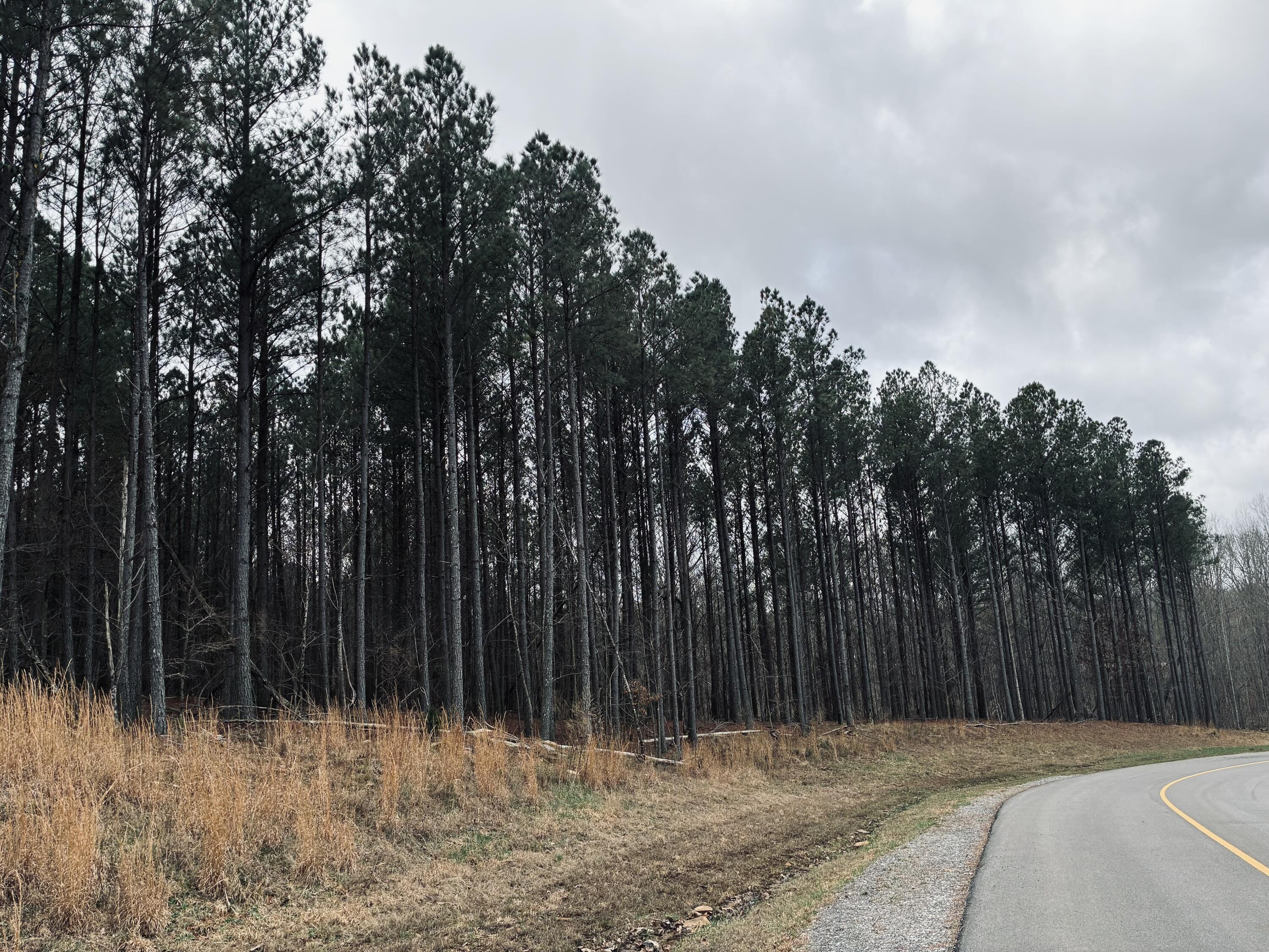 215 Honeybee Court, Jf-407