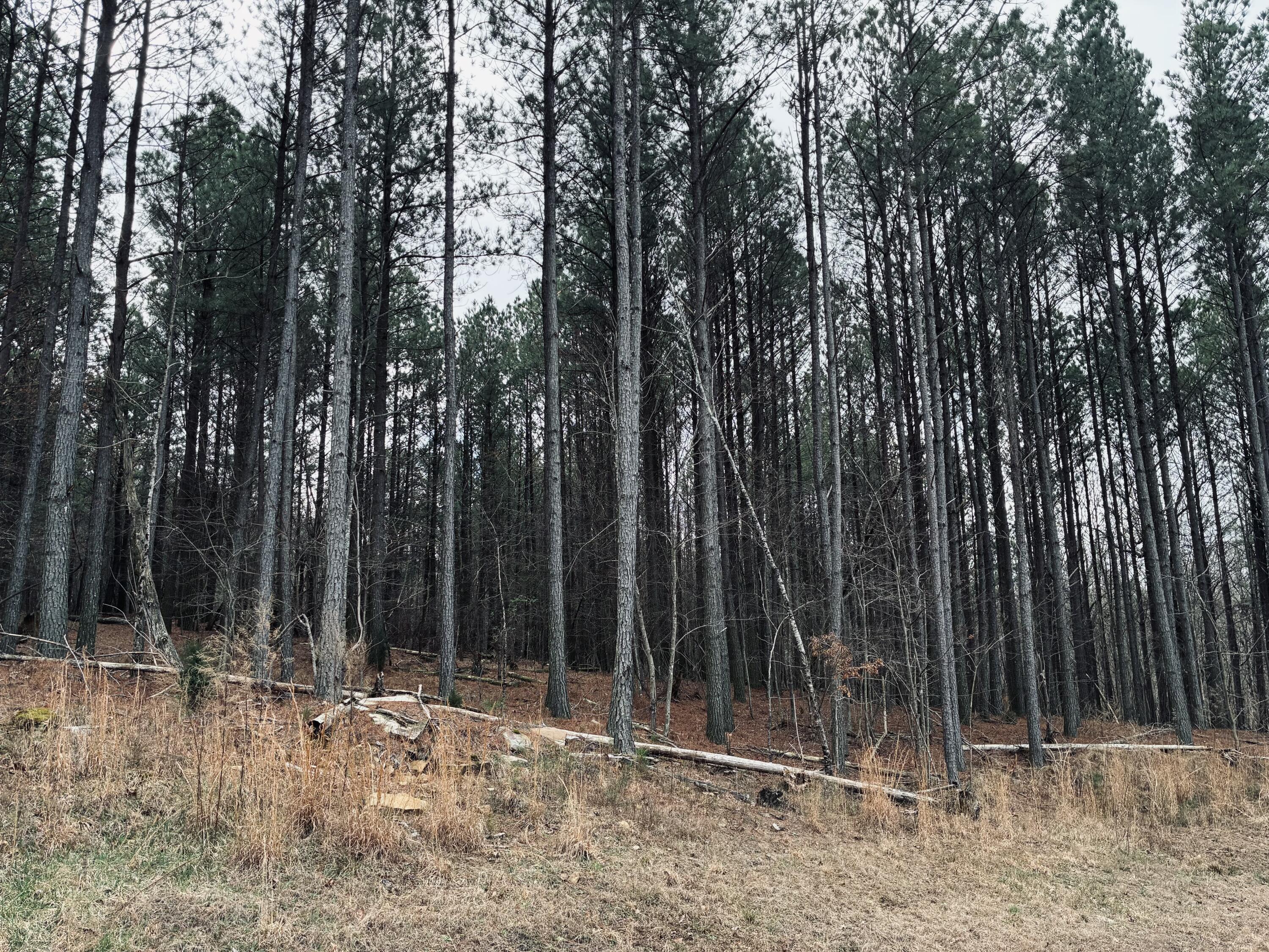 215 Honeybee Court, Jf-407