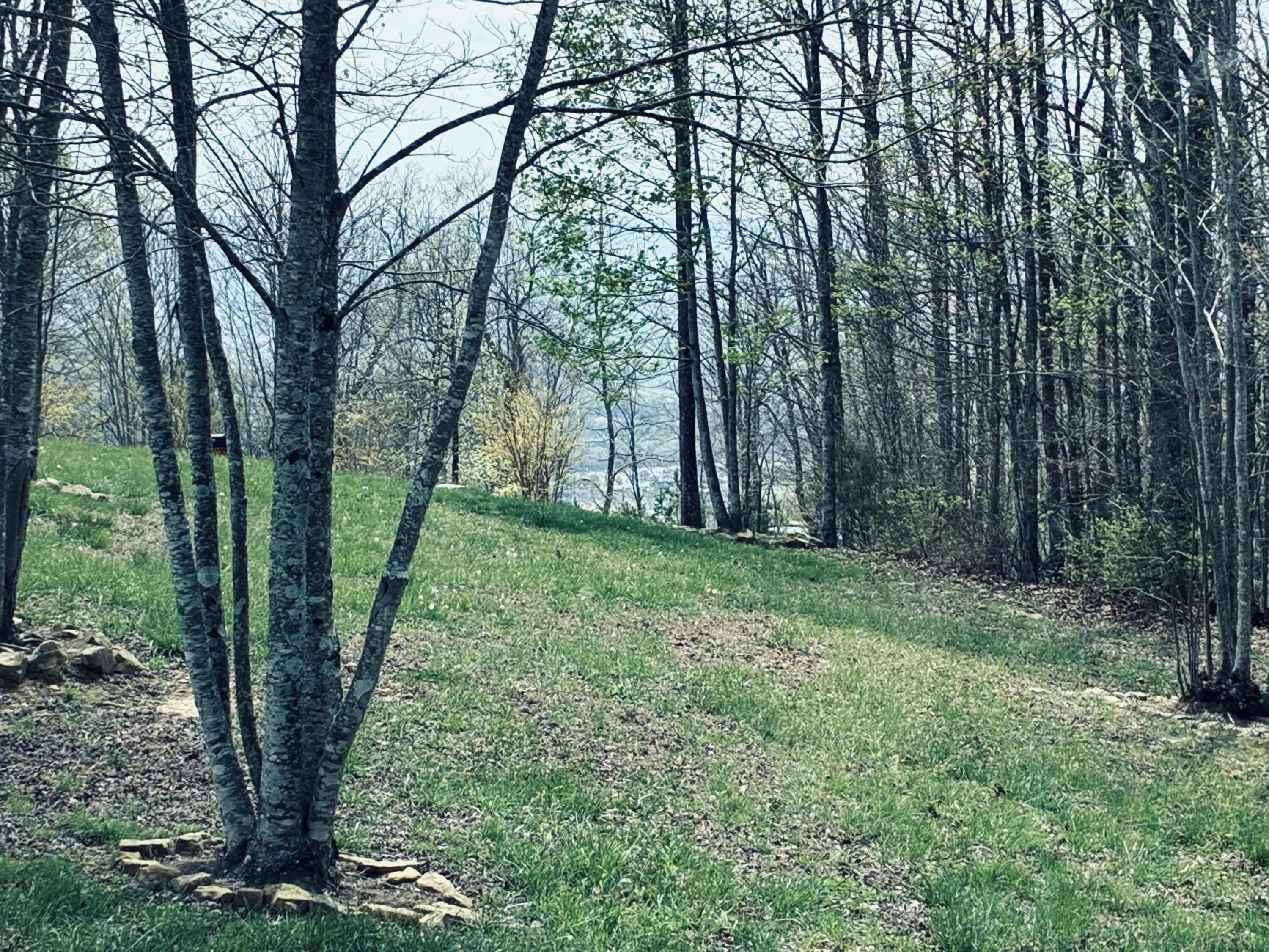 220 Bear Crawl Road, Rb 28