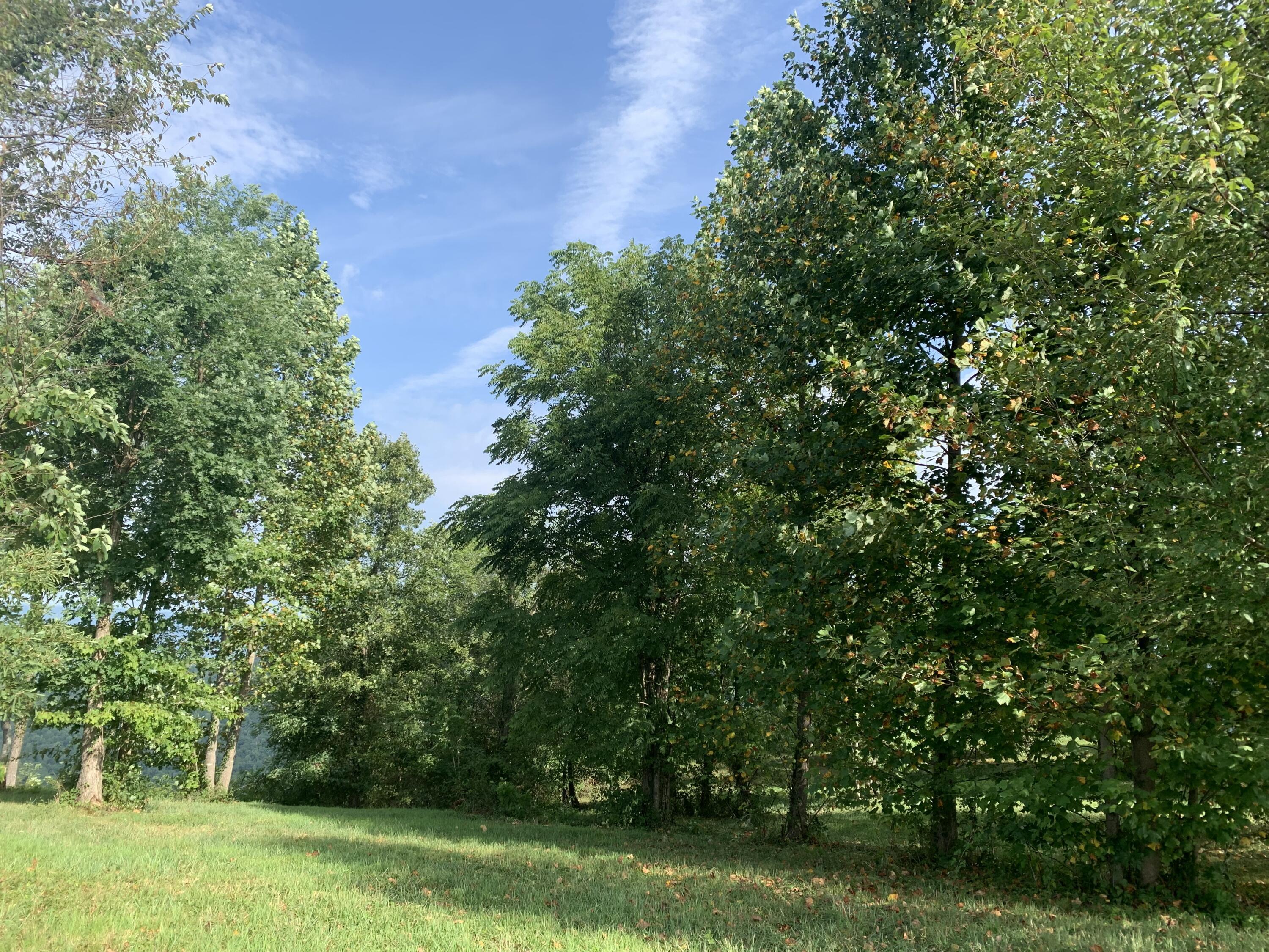 755 Sunset Circle, Sv-109