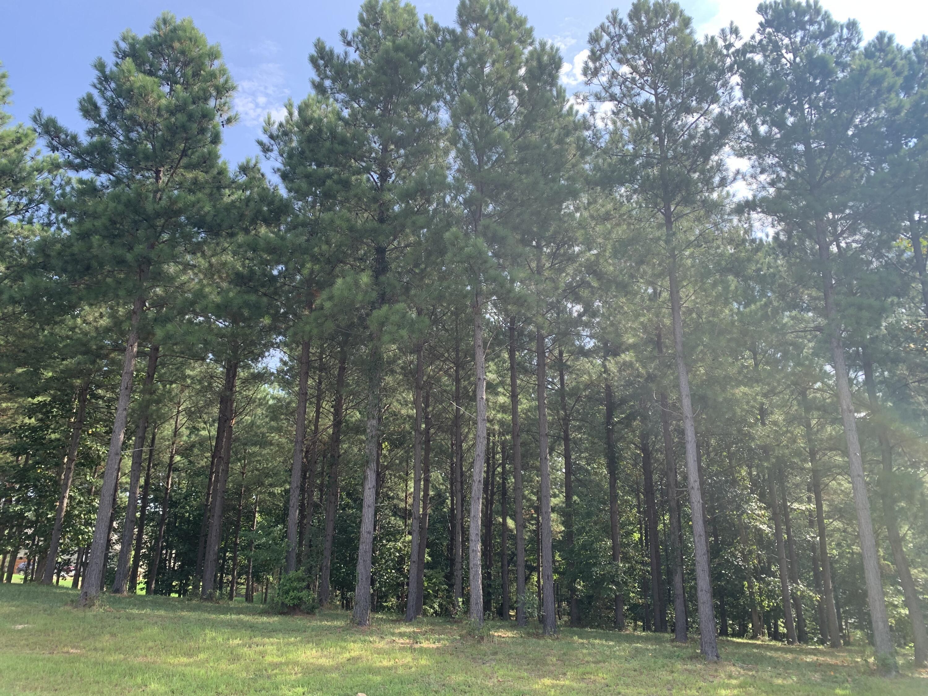 755 Sunset Circle, Sv-109