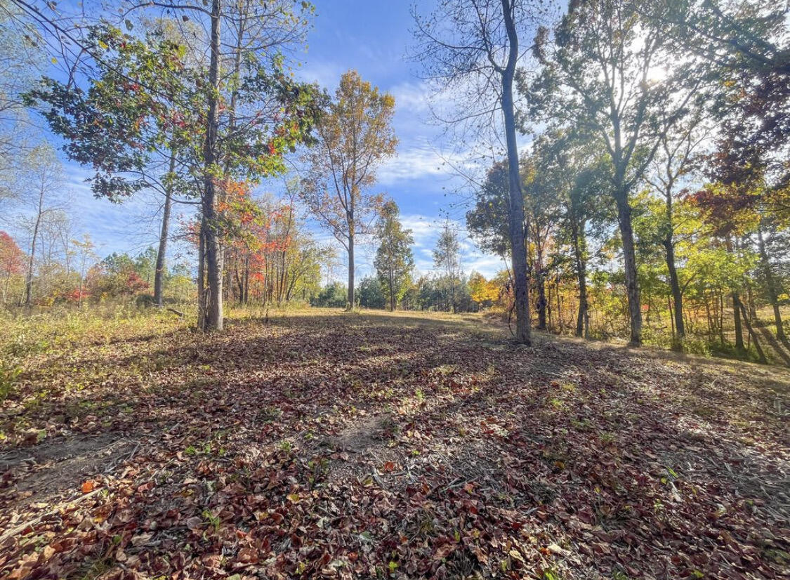 390 Volunteer Street, Jf-365