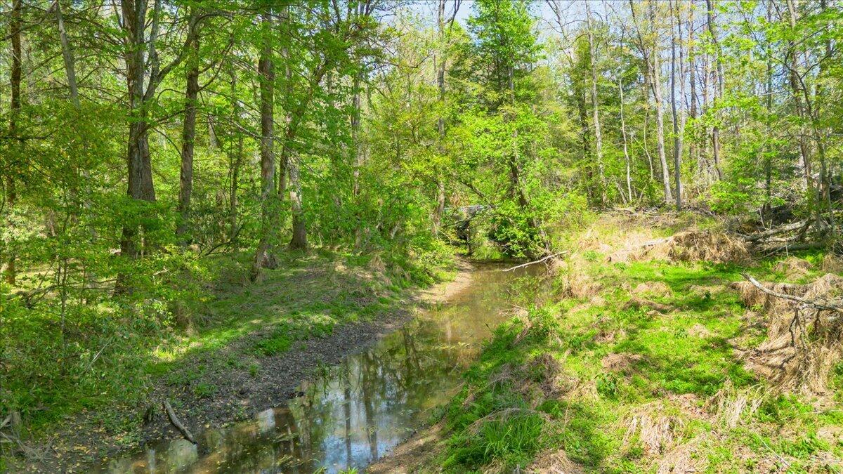 733 Gizzard Creek Road