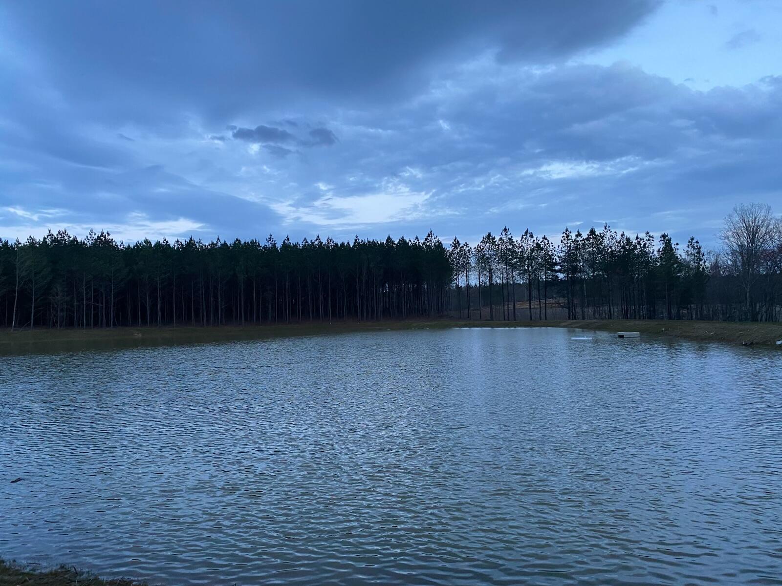 Pond with rippling water and a tree-lined shore under a cloudy sky.