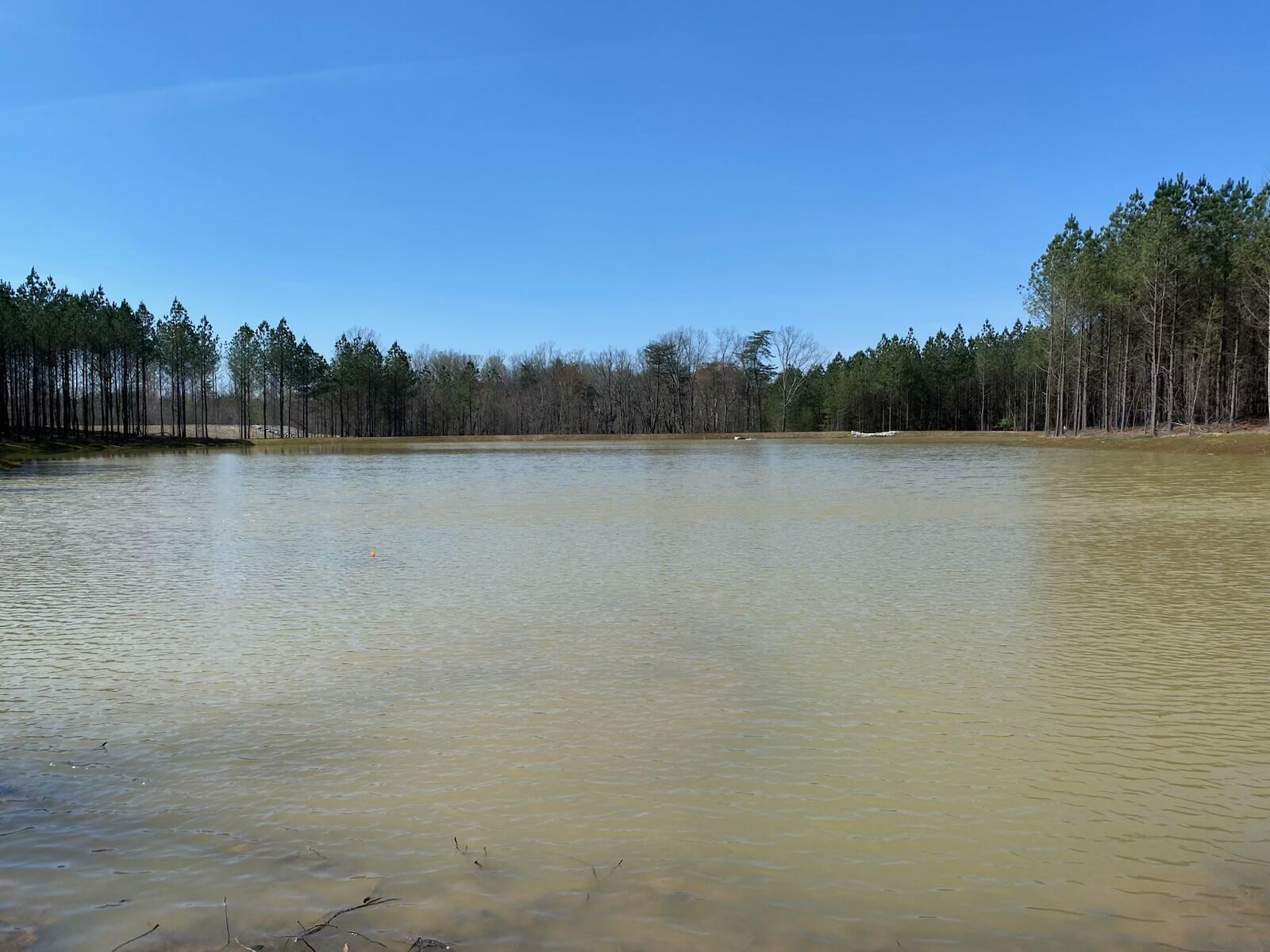 Lake bordered by a wooded shoreline beneath a clear blue sky.