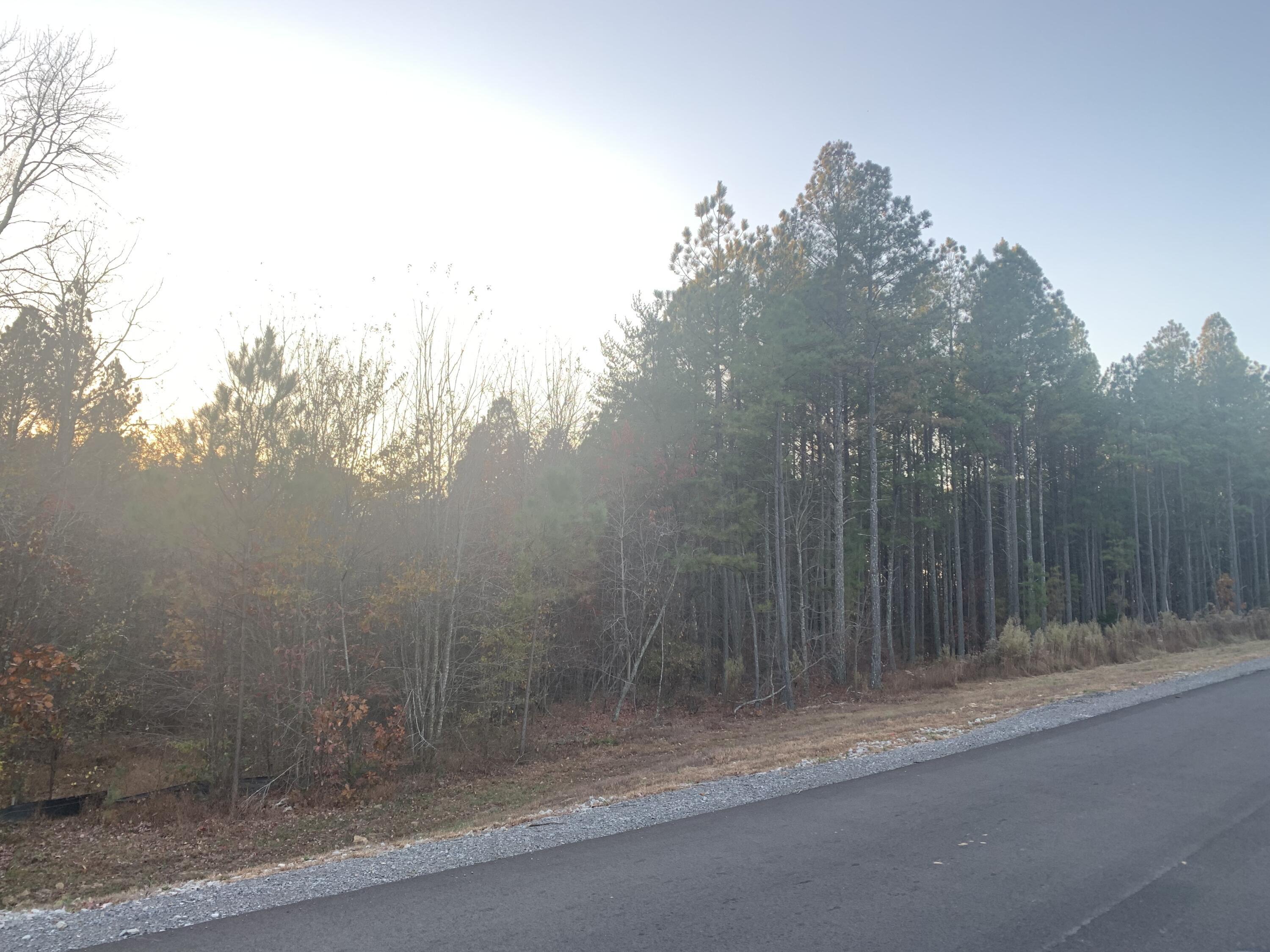 940 Crockett Point, Jf-567