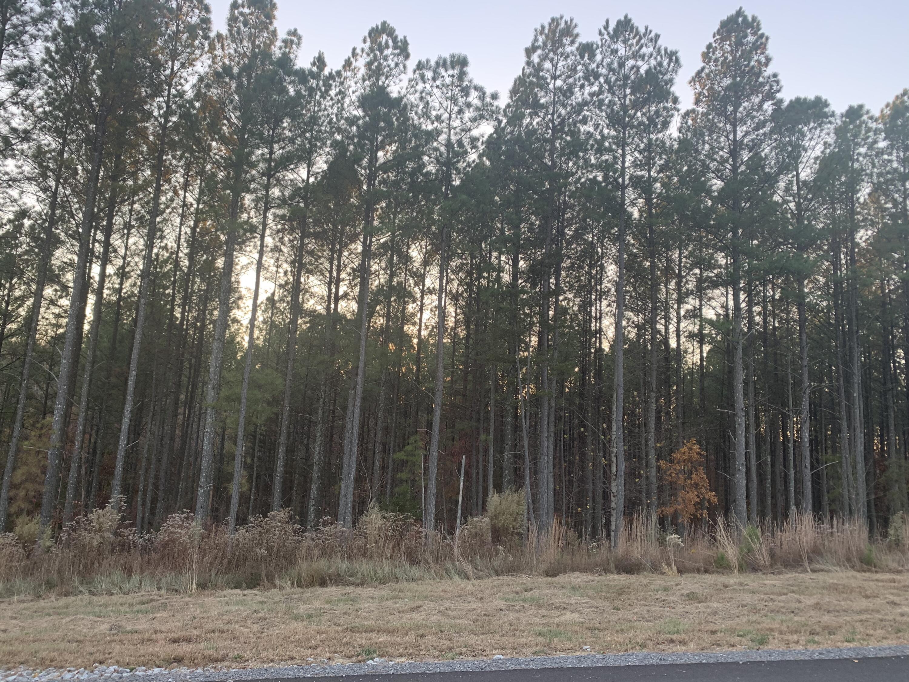 940 Crockett Point, Jf-567