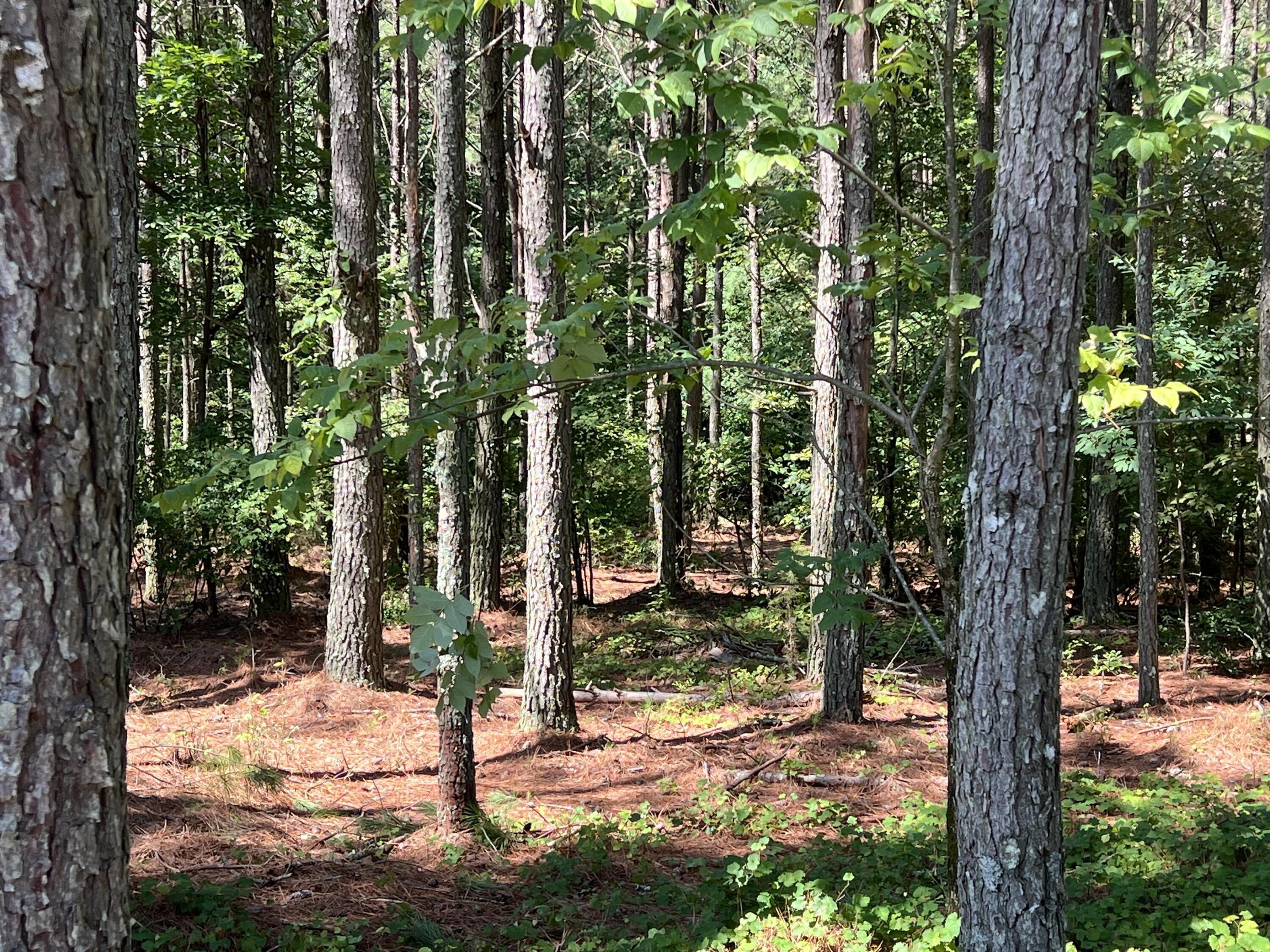 940 Crockett Point, Jf-567