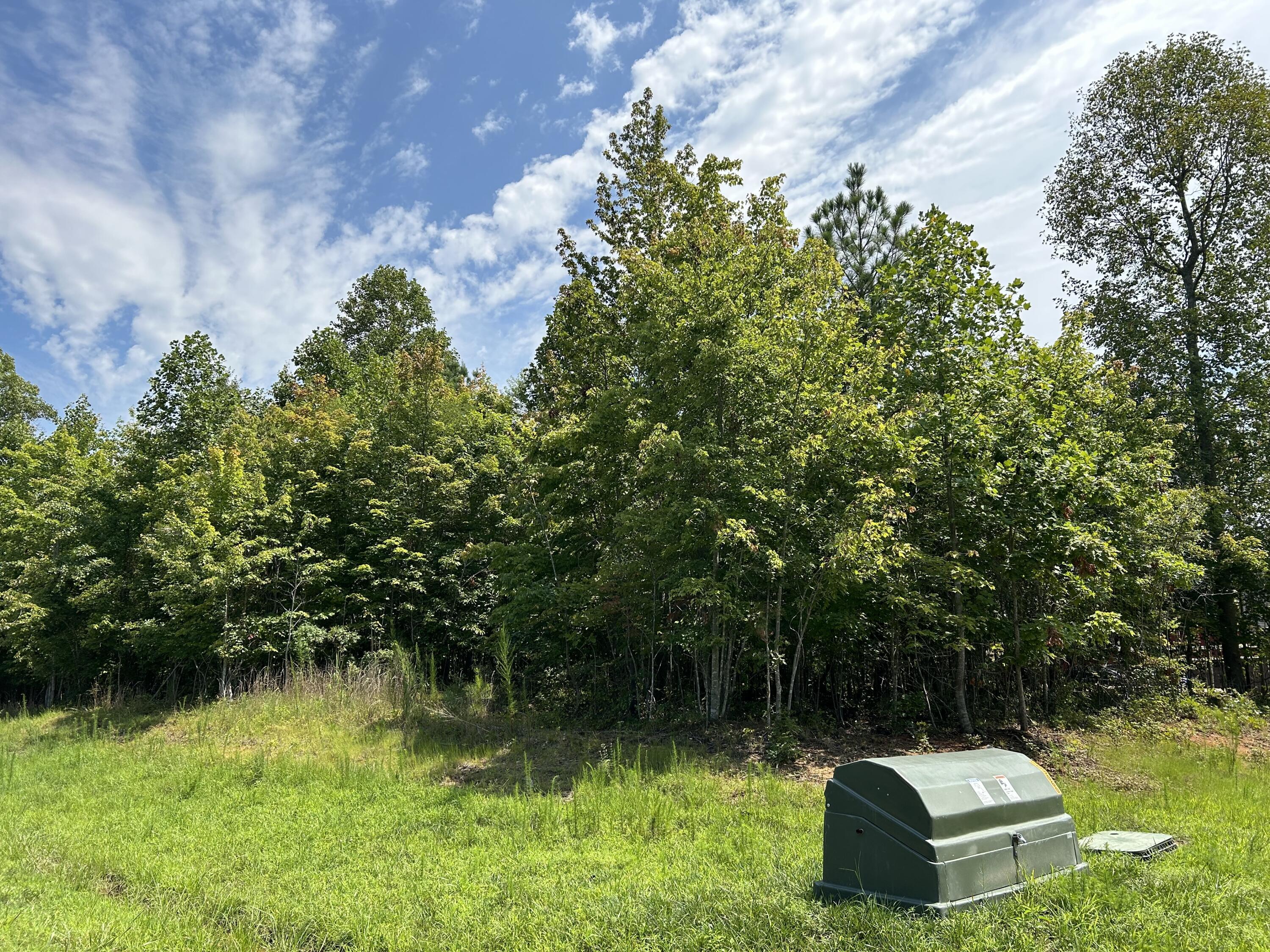 Grassy clearing bordered by dense trees, with a green utility enclosure in the foreground.