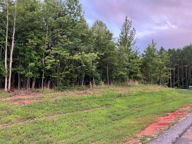 Grassy vacant lot bordered by dense trees beside a gravel road.