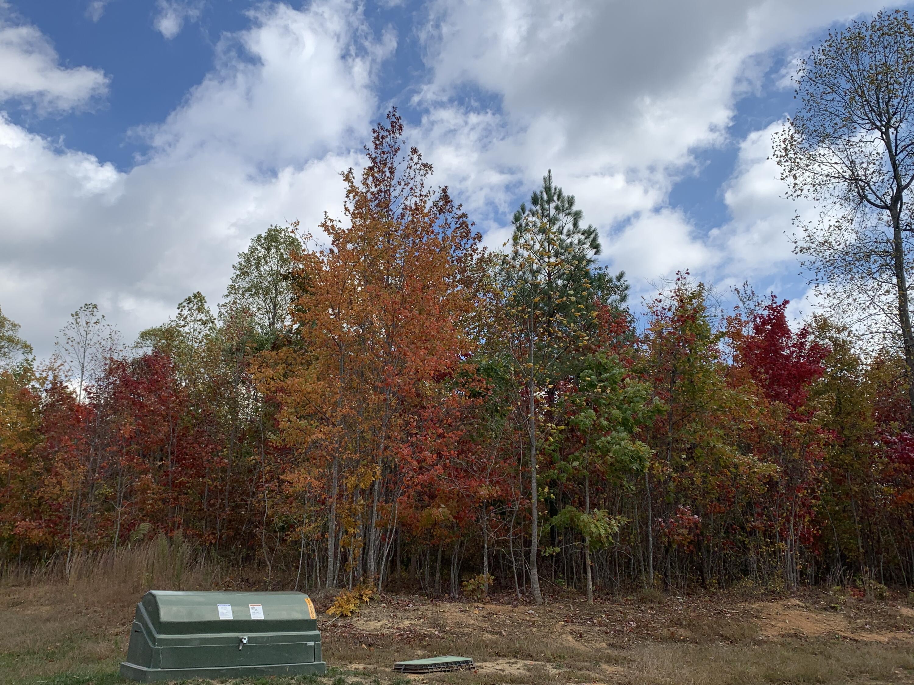 Wooded lot with colorful autumn foliage and a green utility cabinet in the foreground.