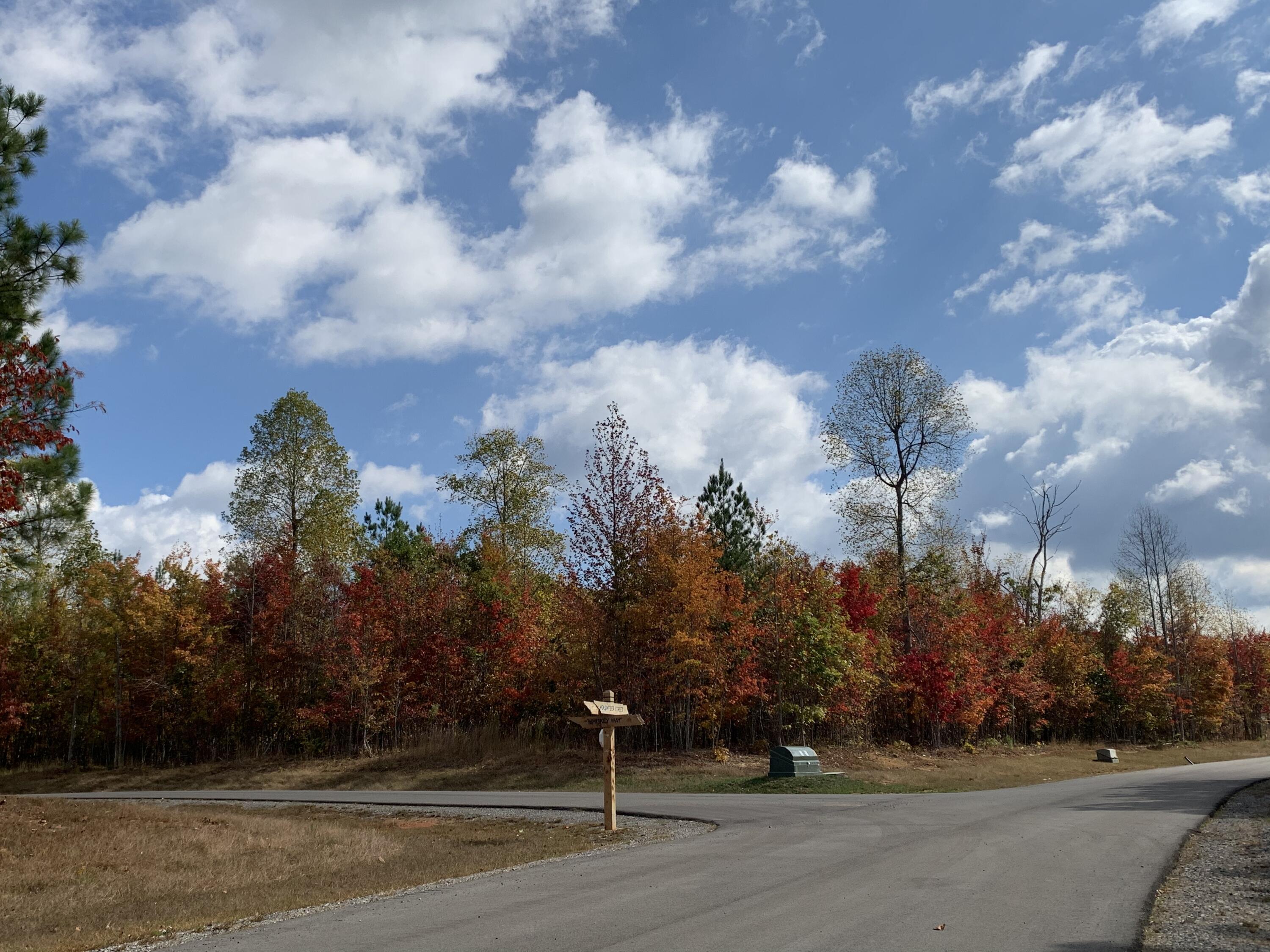 Roadside view of wooded autumn land with a Whiskey Way street sign.